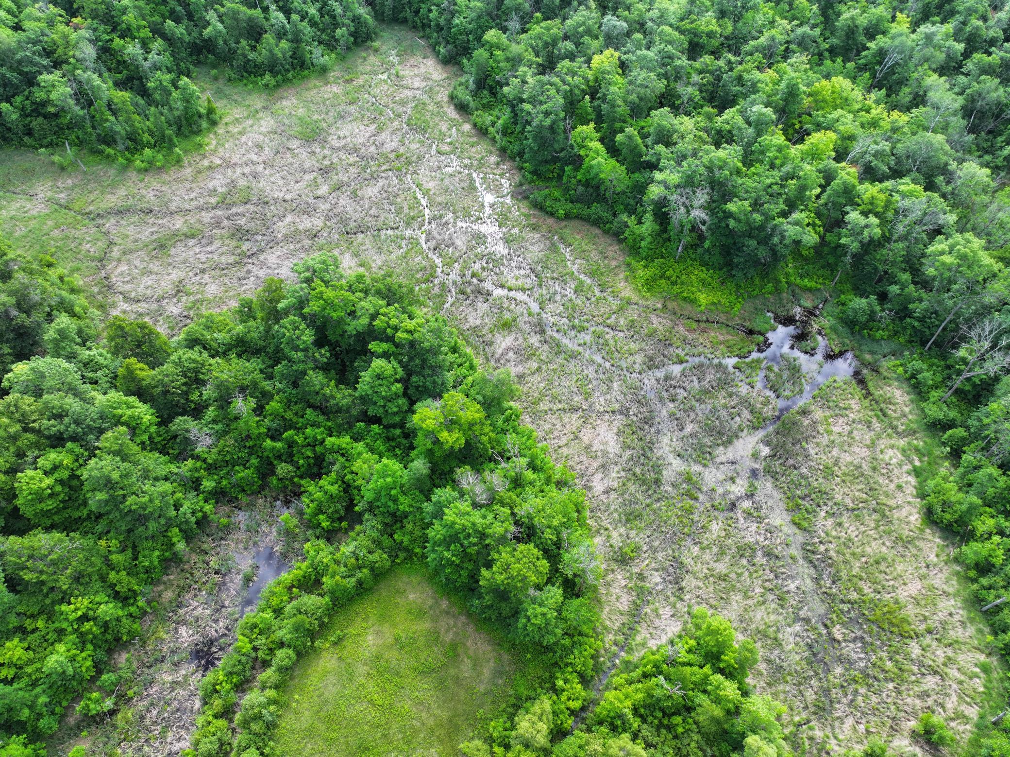dji_fly_20260626_104614_0065_1782514083361_photo.jpeg