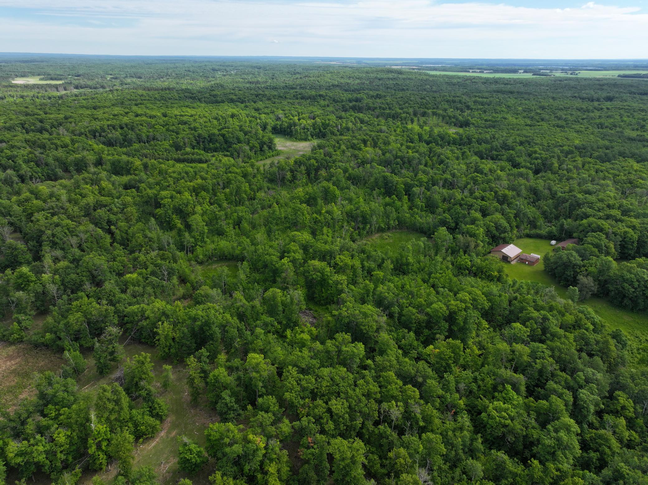 dji_fly_20260626_104820_0069_1782514080418_photo.jpeg