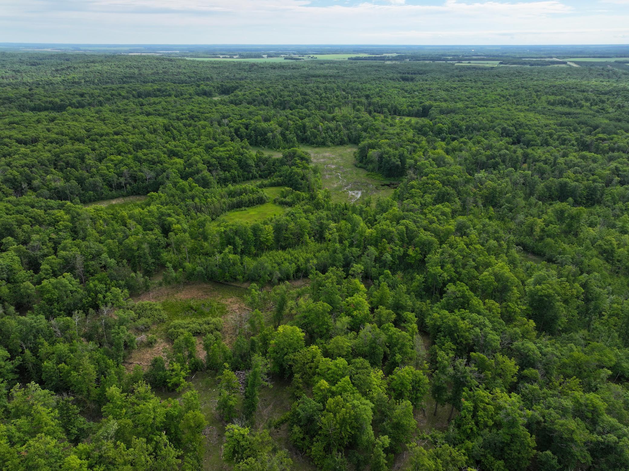 dji_fly_20260626_104710_0066_1782514081572_photo.jpeg