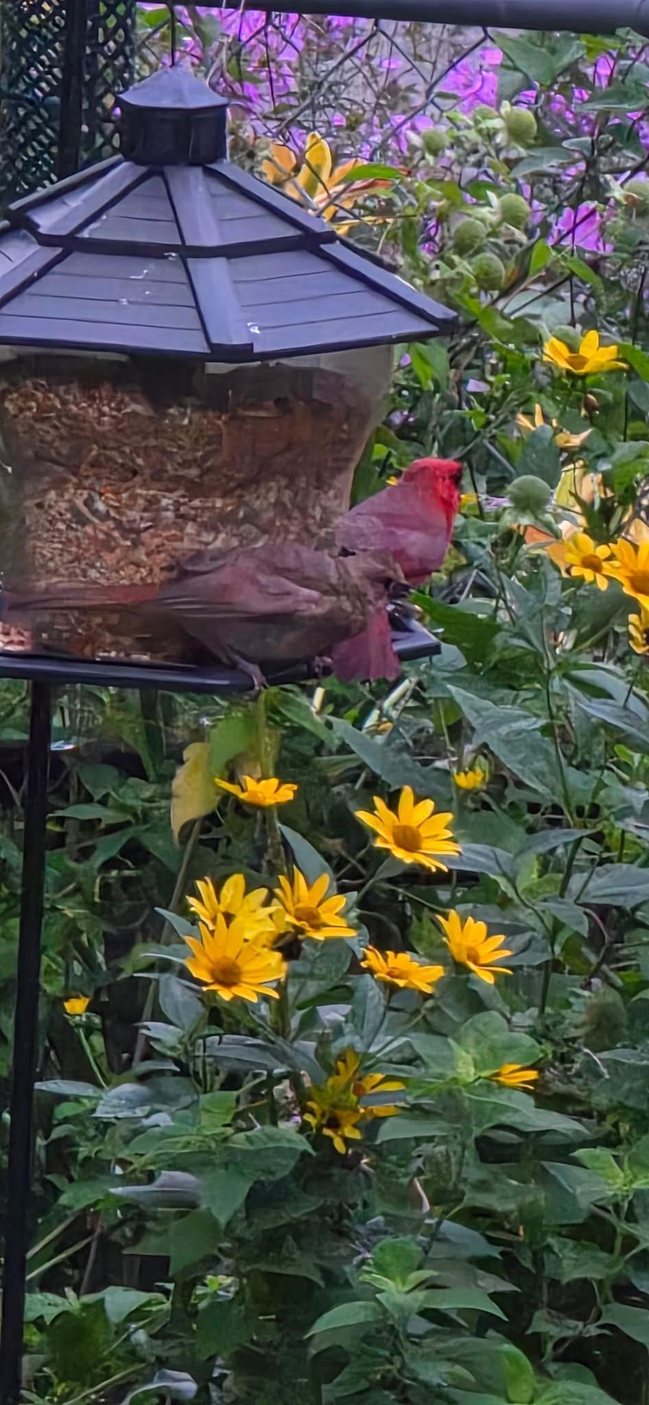 Previous photo from seller