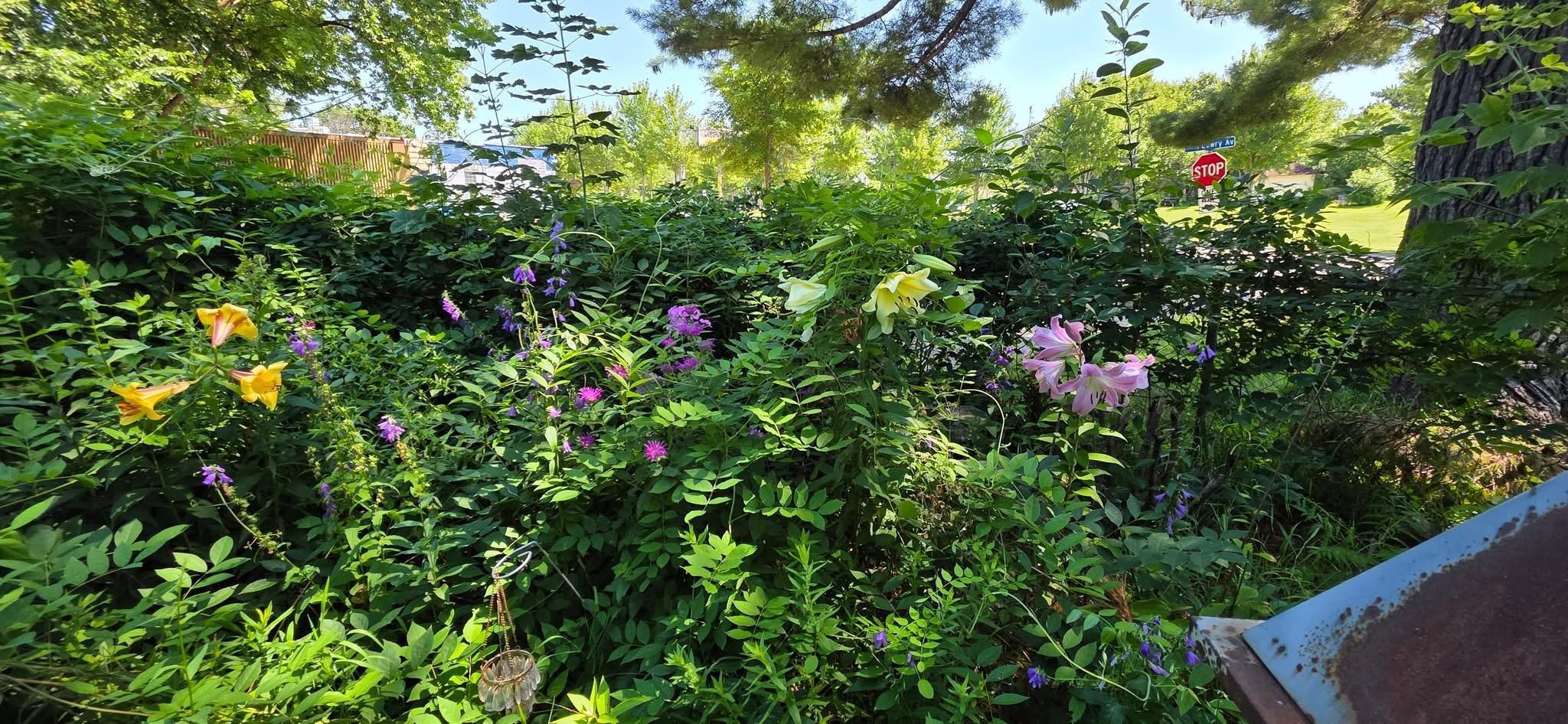 Previous photo from seller