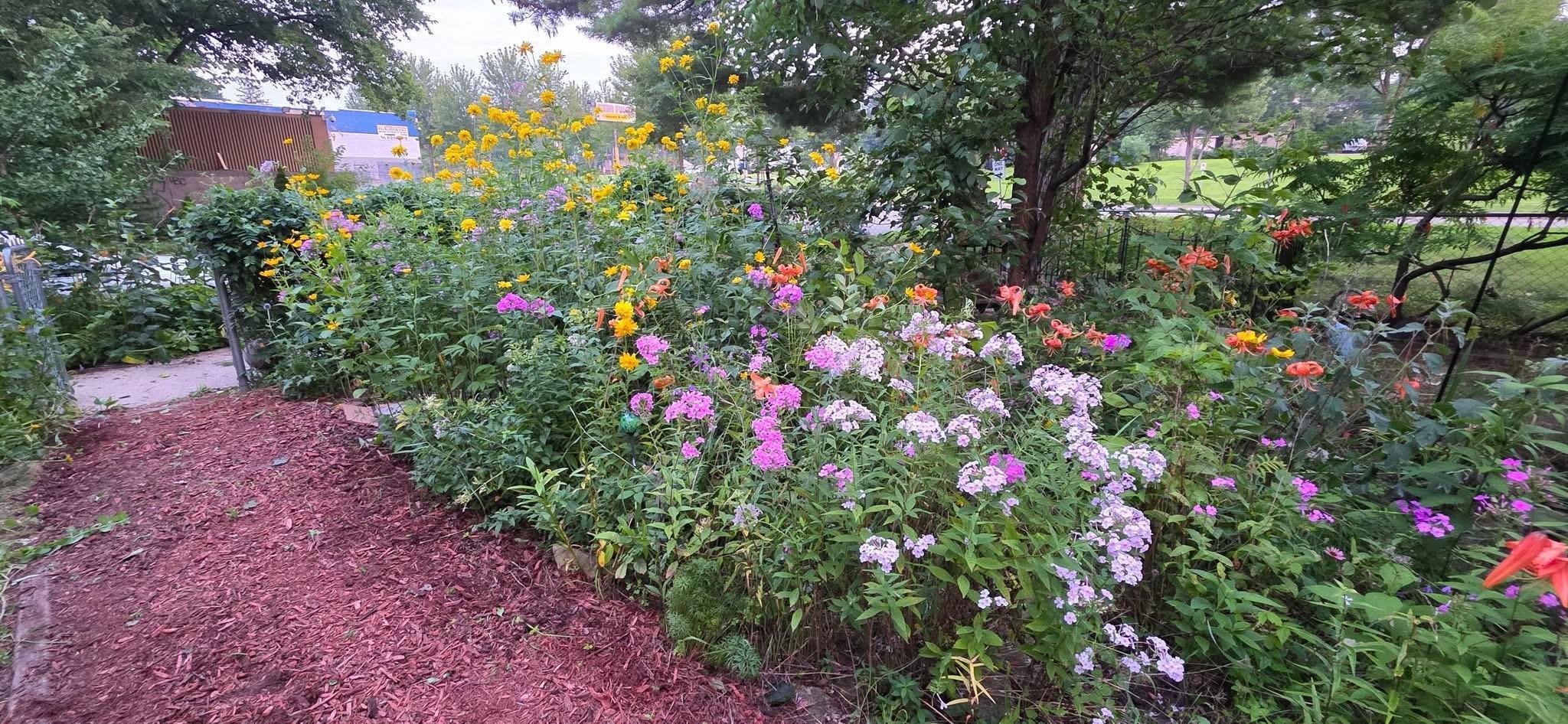 Previous photos from seller