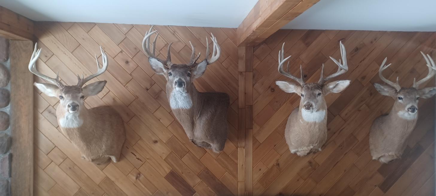 Pepin Bluff 2-11jpeg.jpeg