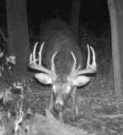 Pepin Bluff 3-10.jpg