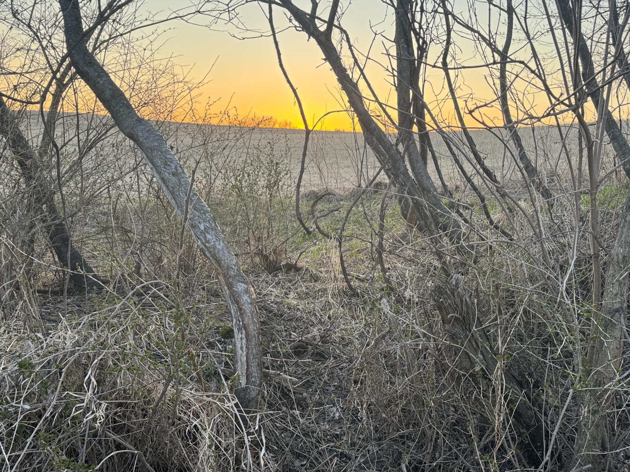 Pepin Bluff 3-15.jpg