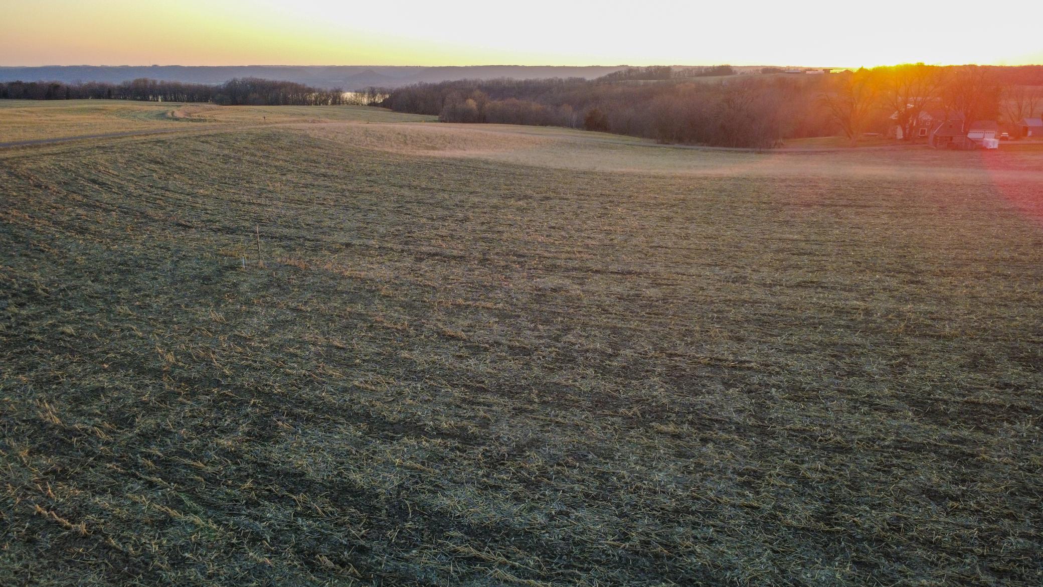 Pepin Bluff 3-09.jpg