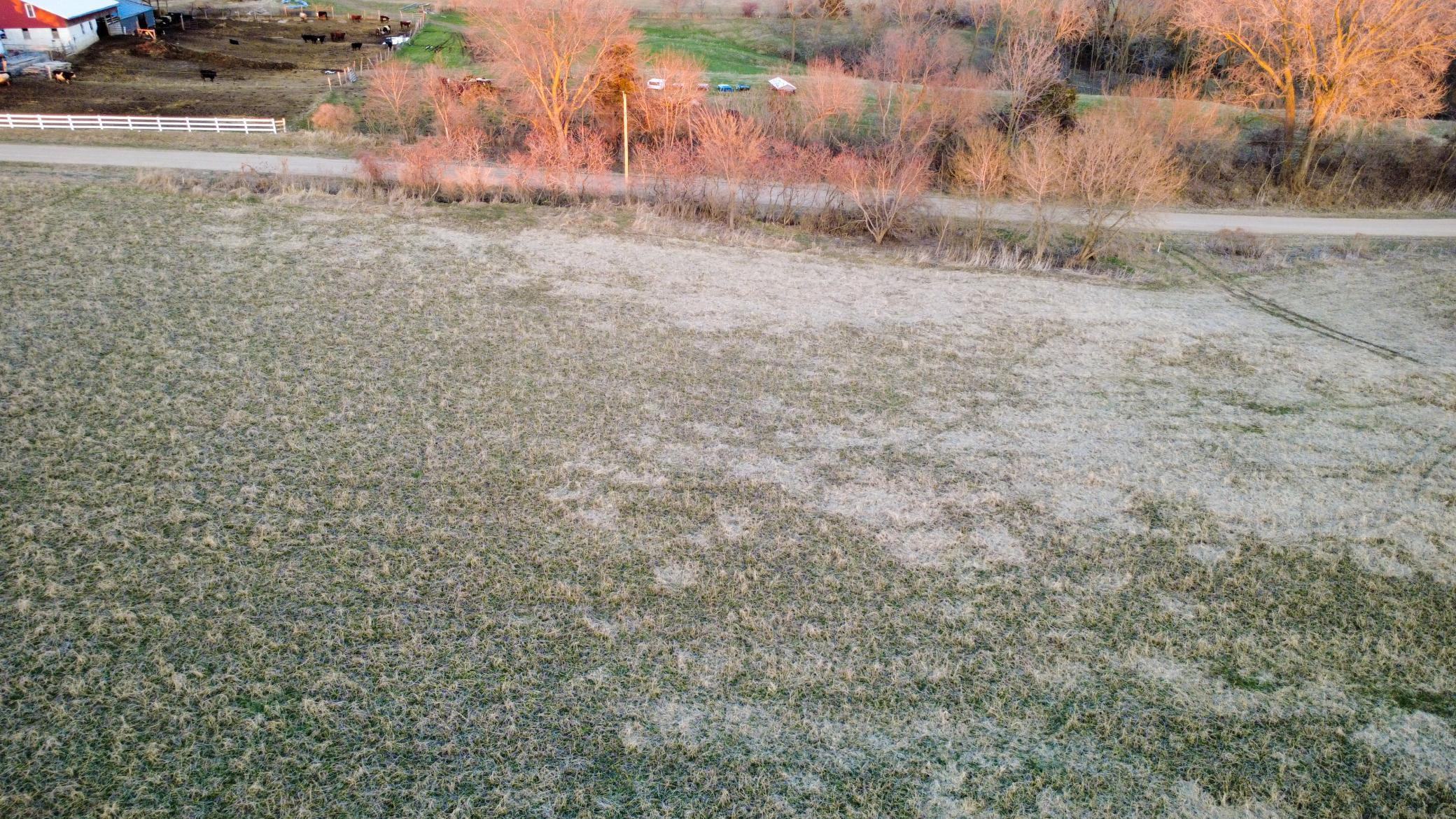 Pepin Bluff 3-08.jpg