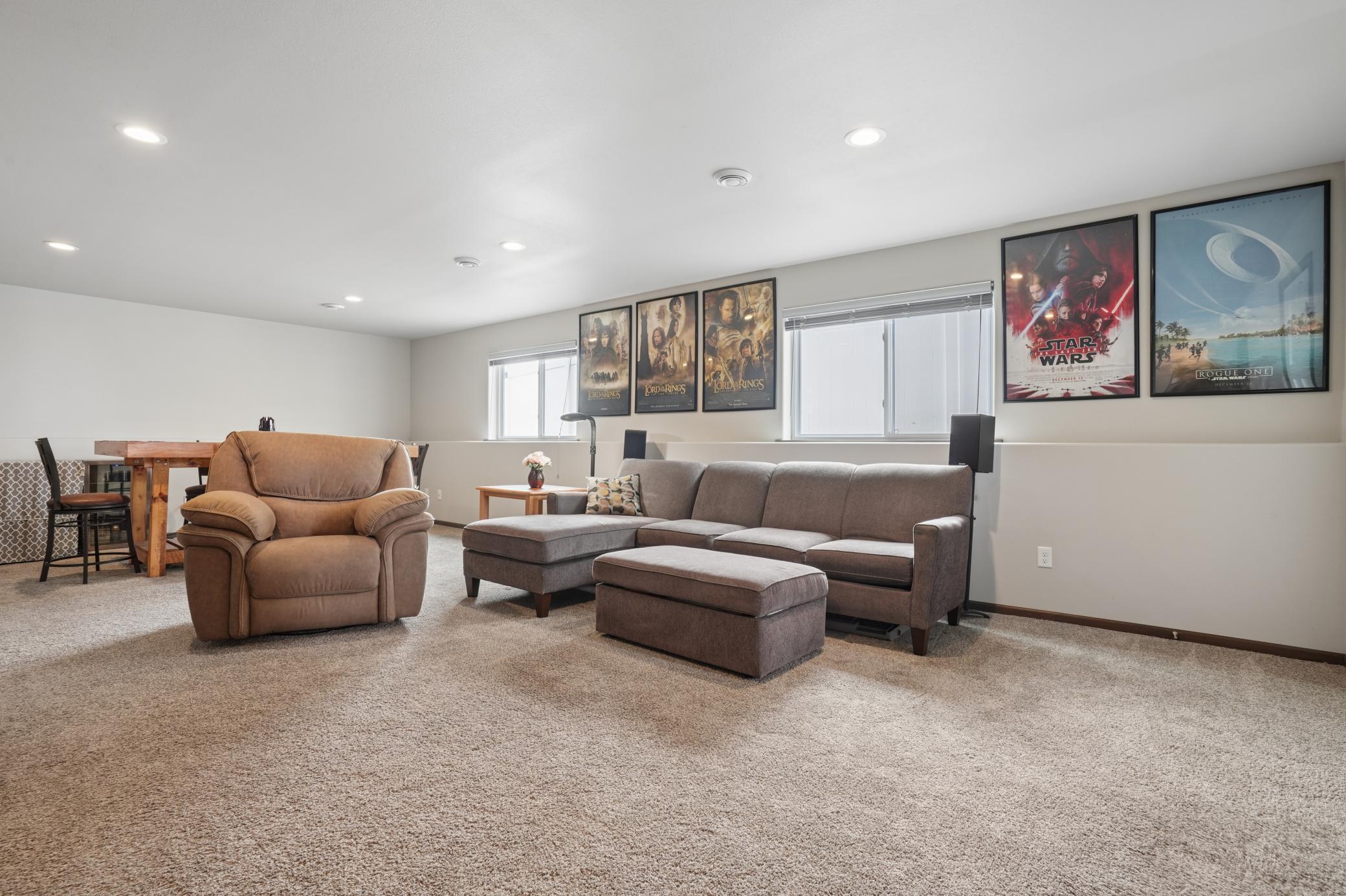 Lower Level Living Room