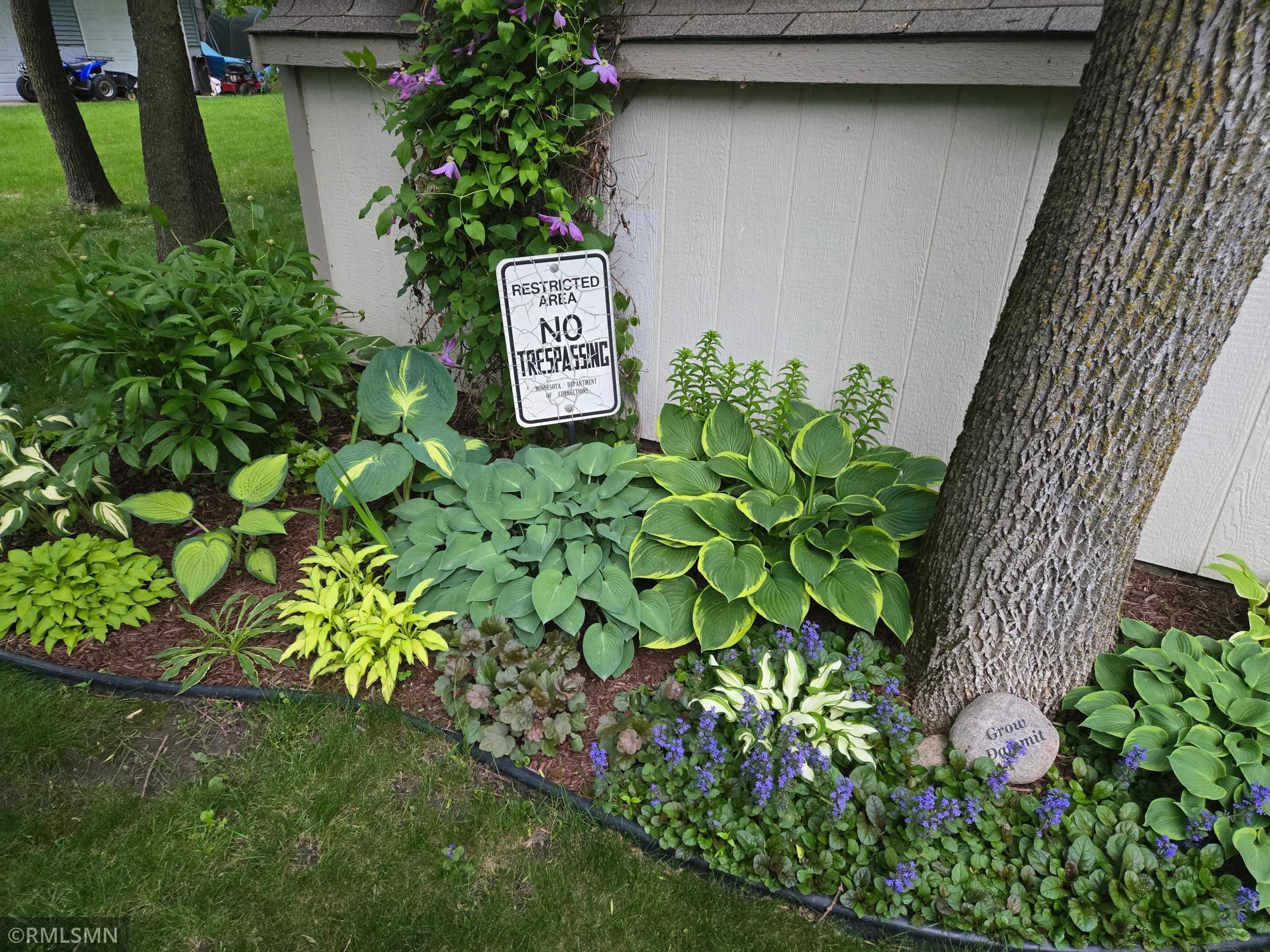 Small tool/garden shed in back yard.