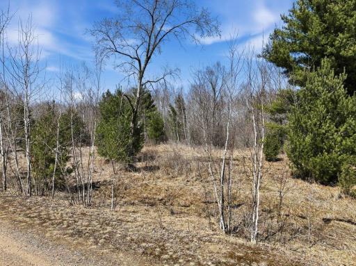 Lot 13 10 1/4 Avenue, Chetek, WI 54728