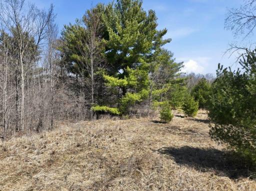 Lot 13 10 1/4 Avenue, Chetek, WI 54728