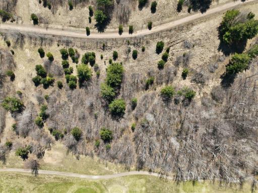 Lot 13 10 1/4 Avenue, Chetek, WI 54728
