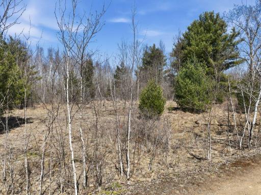 Lot 13 10 1/4 Avenue, Chetek, WI 54728