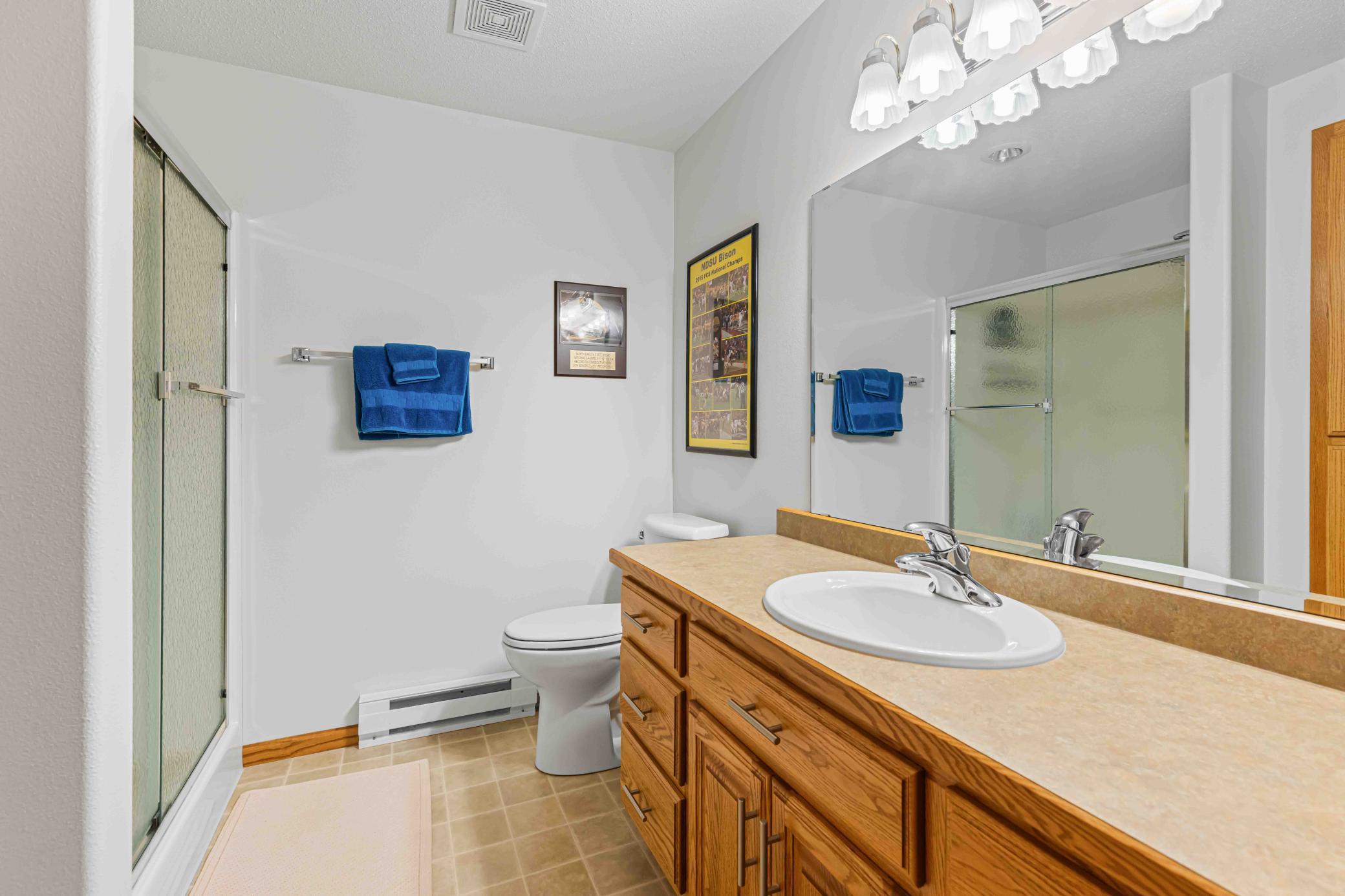 Lower-level 3/4 bathroom