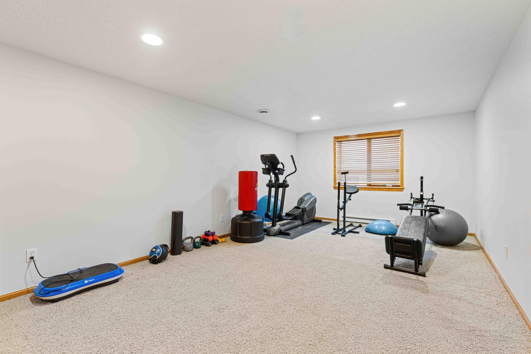 Lower-level workout room - 21' x 12.7'