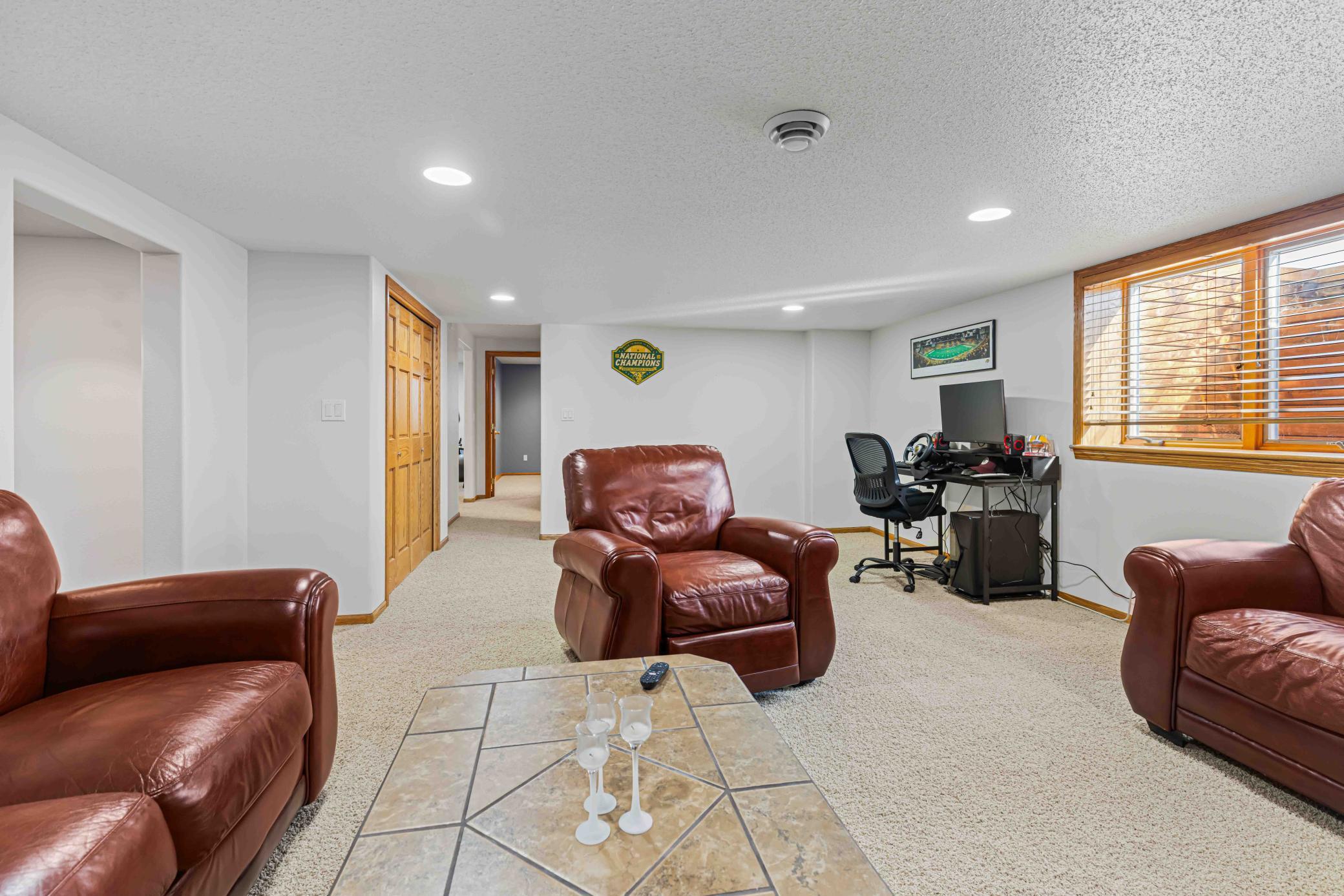 Lower-level family room with storage closet - 23.2' x15.10'