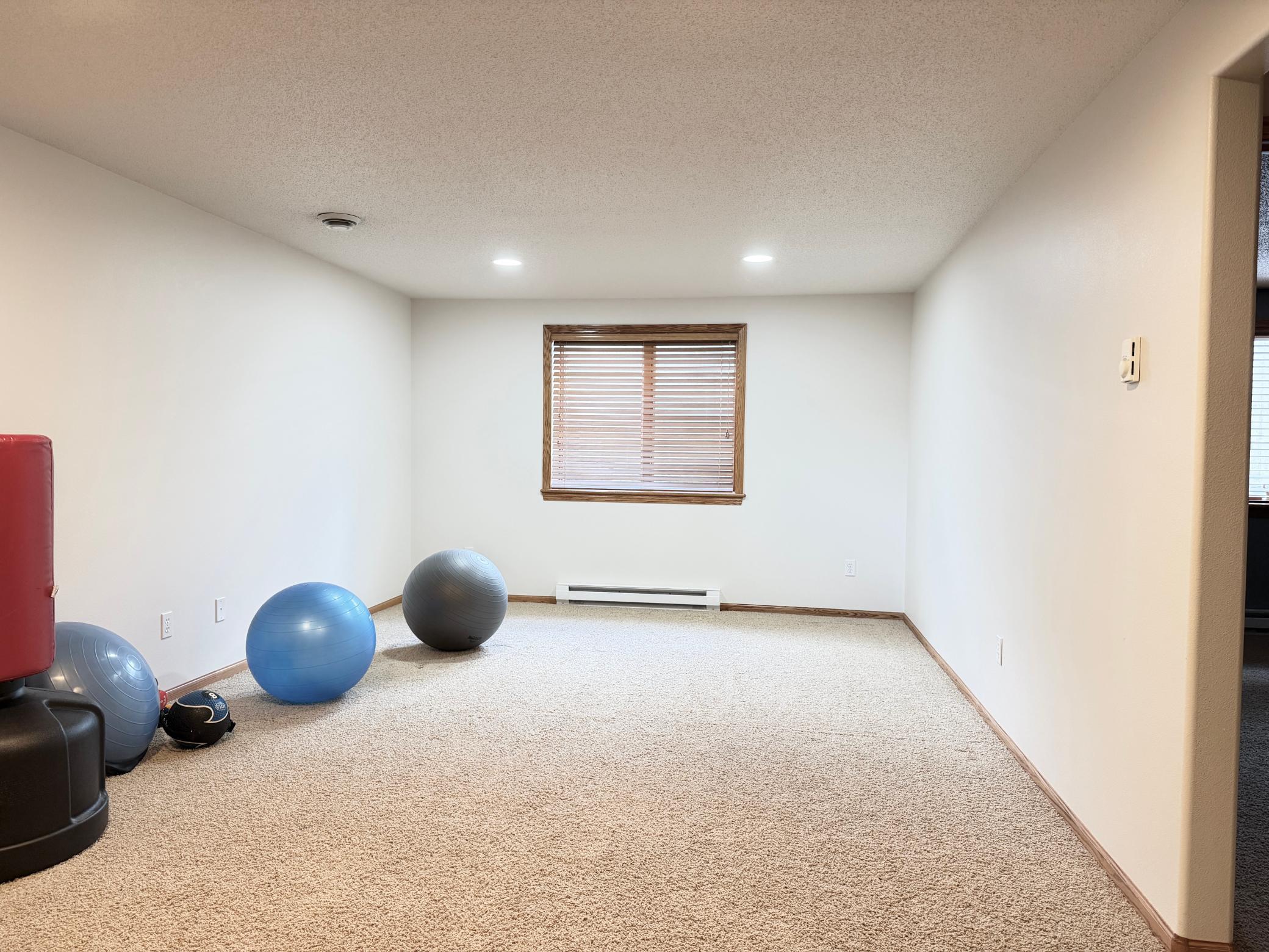 Lower-level workout room - 21' x 12.7'