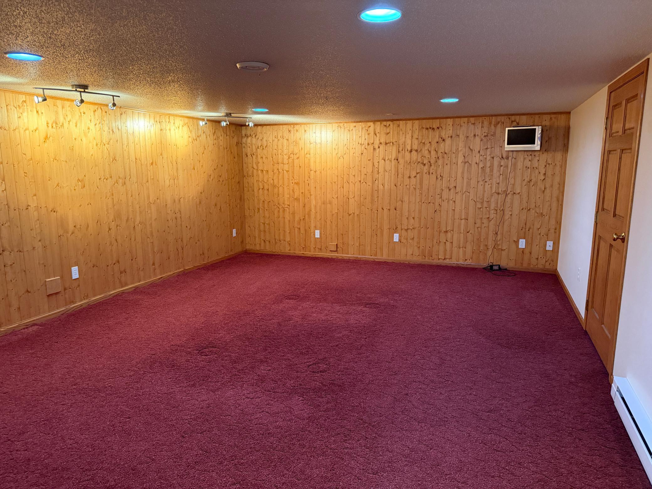 Lower level recreation room 15.9' x19.9'