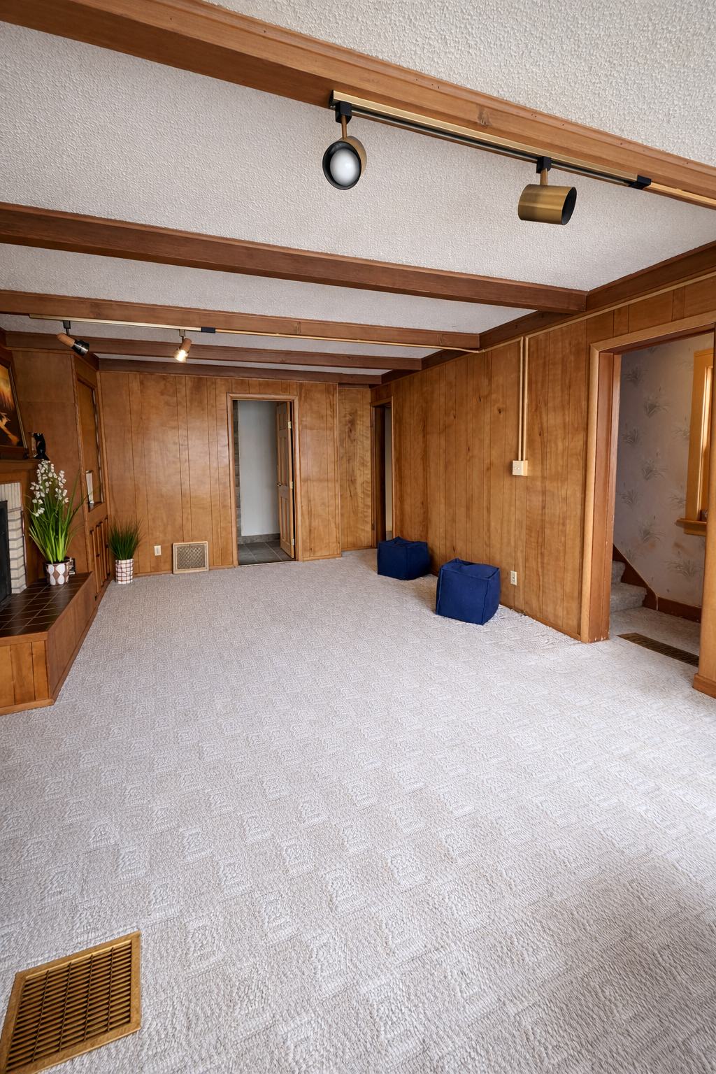 Lower Level Family Room