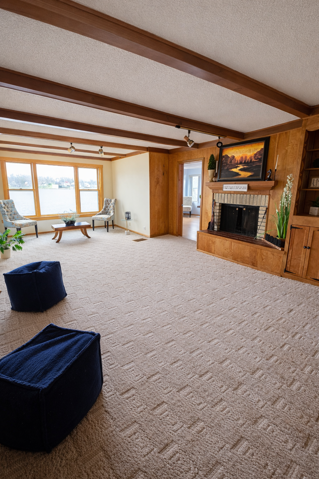 Lower Level Family Room