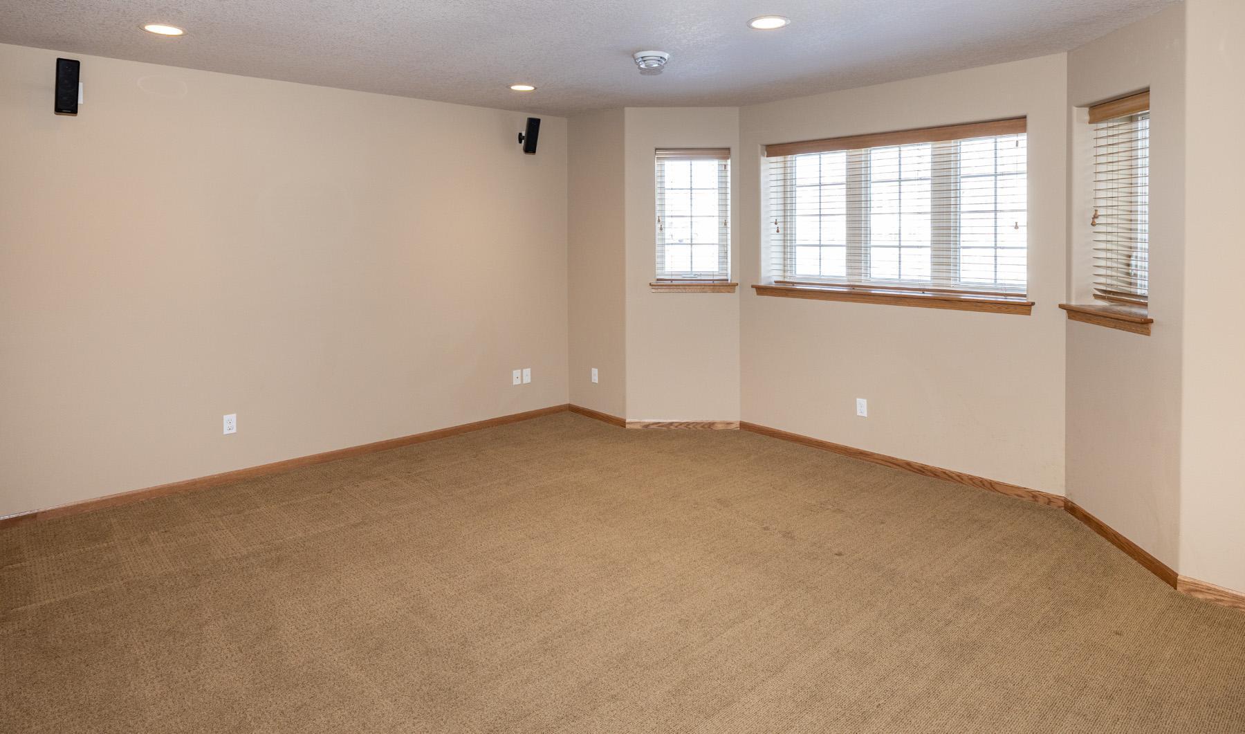 Lower Level Family Room