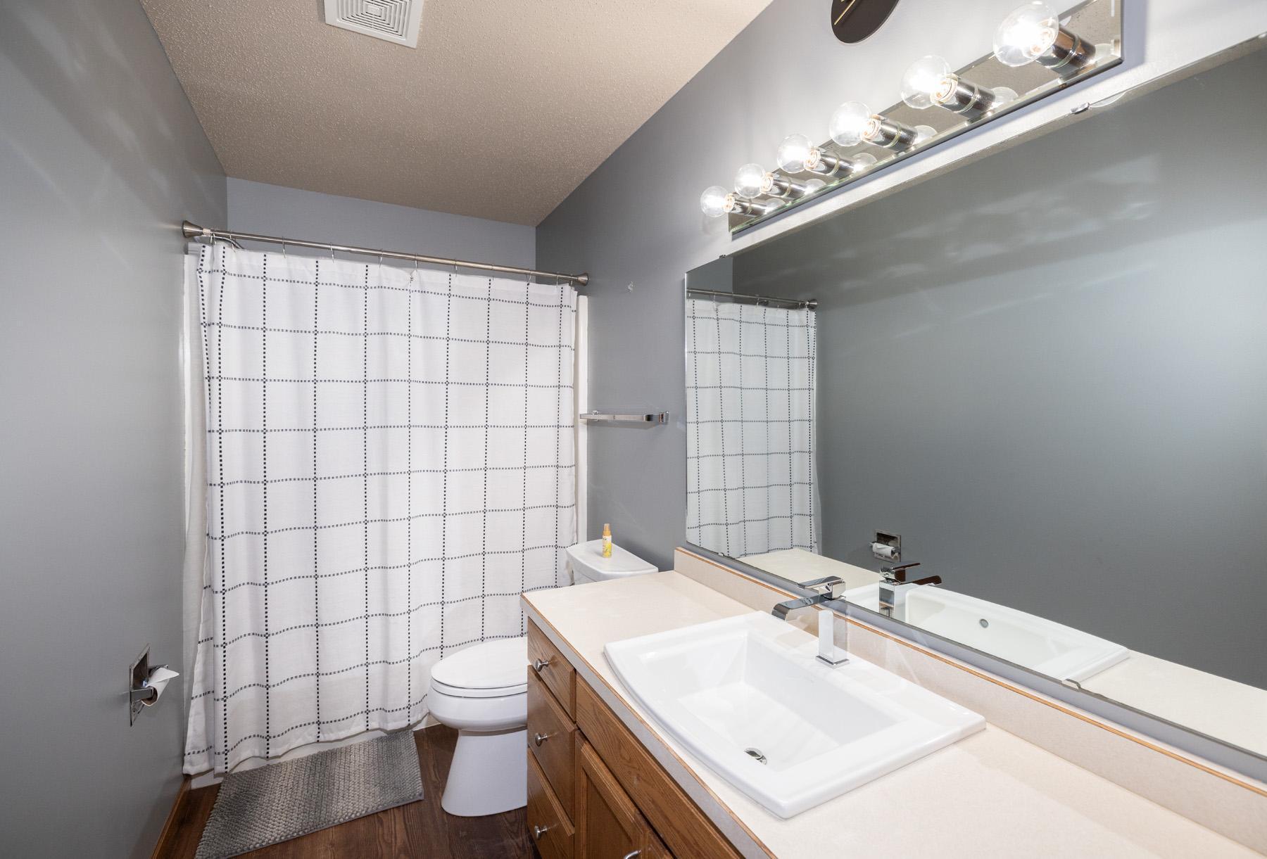 Lower Level Bathroom