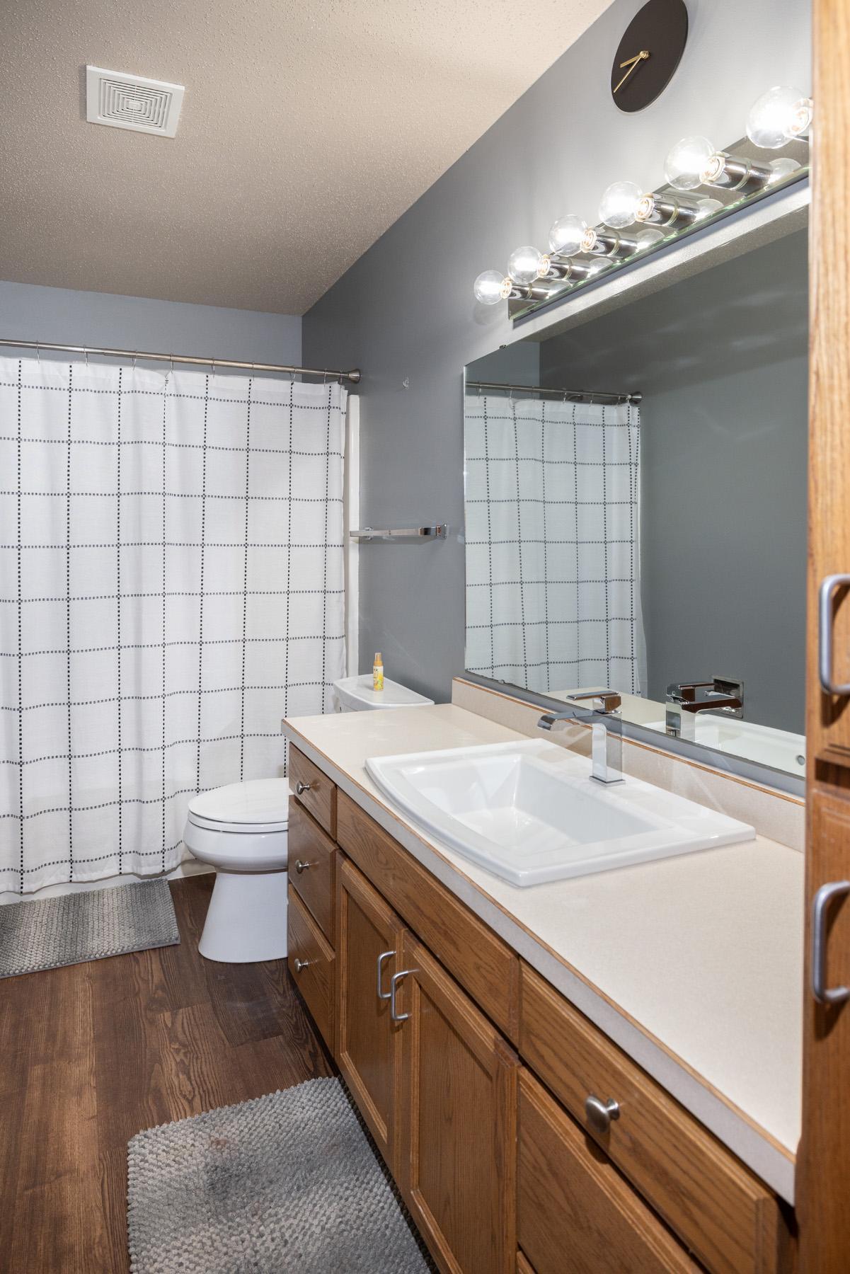 Lower Level Bathroom