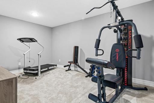 This room in the lower level is being used as an exercise room. Could also be a great craft room, playroom or additional office space.