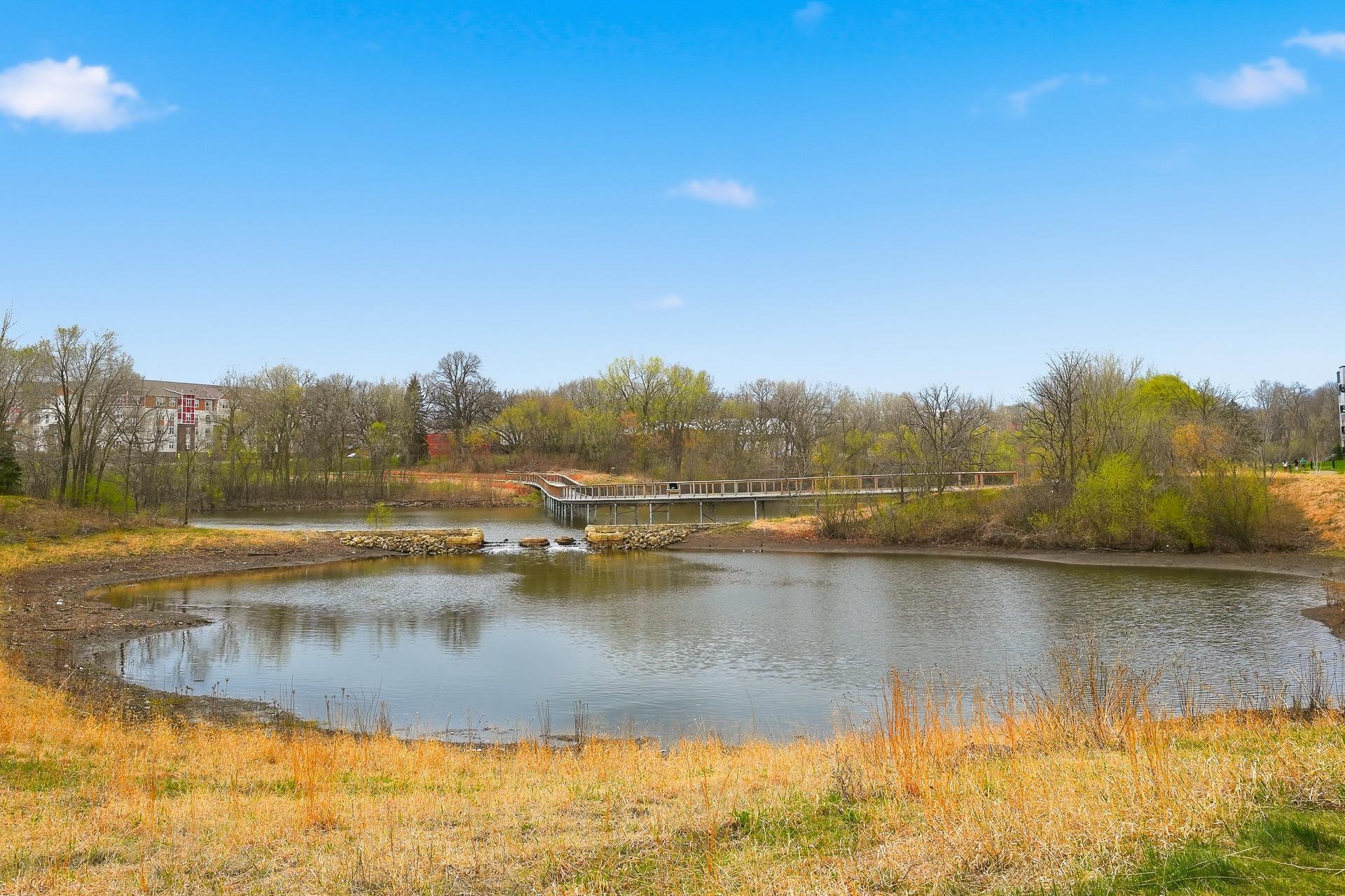 Beautiful nature views from the trails and bridge