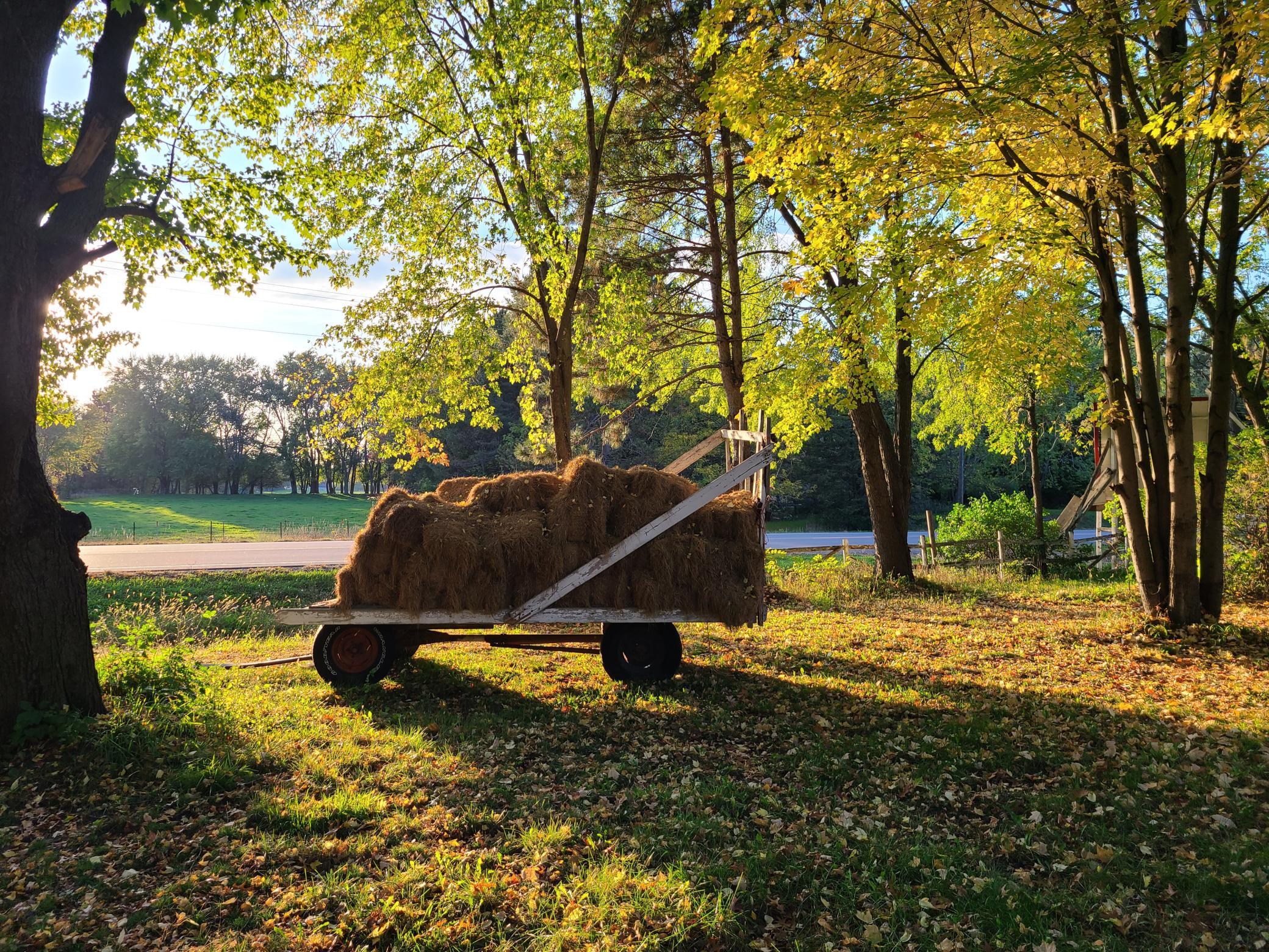 Scenes from Fridays Farm Hay rack
