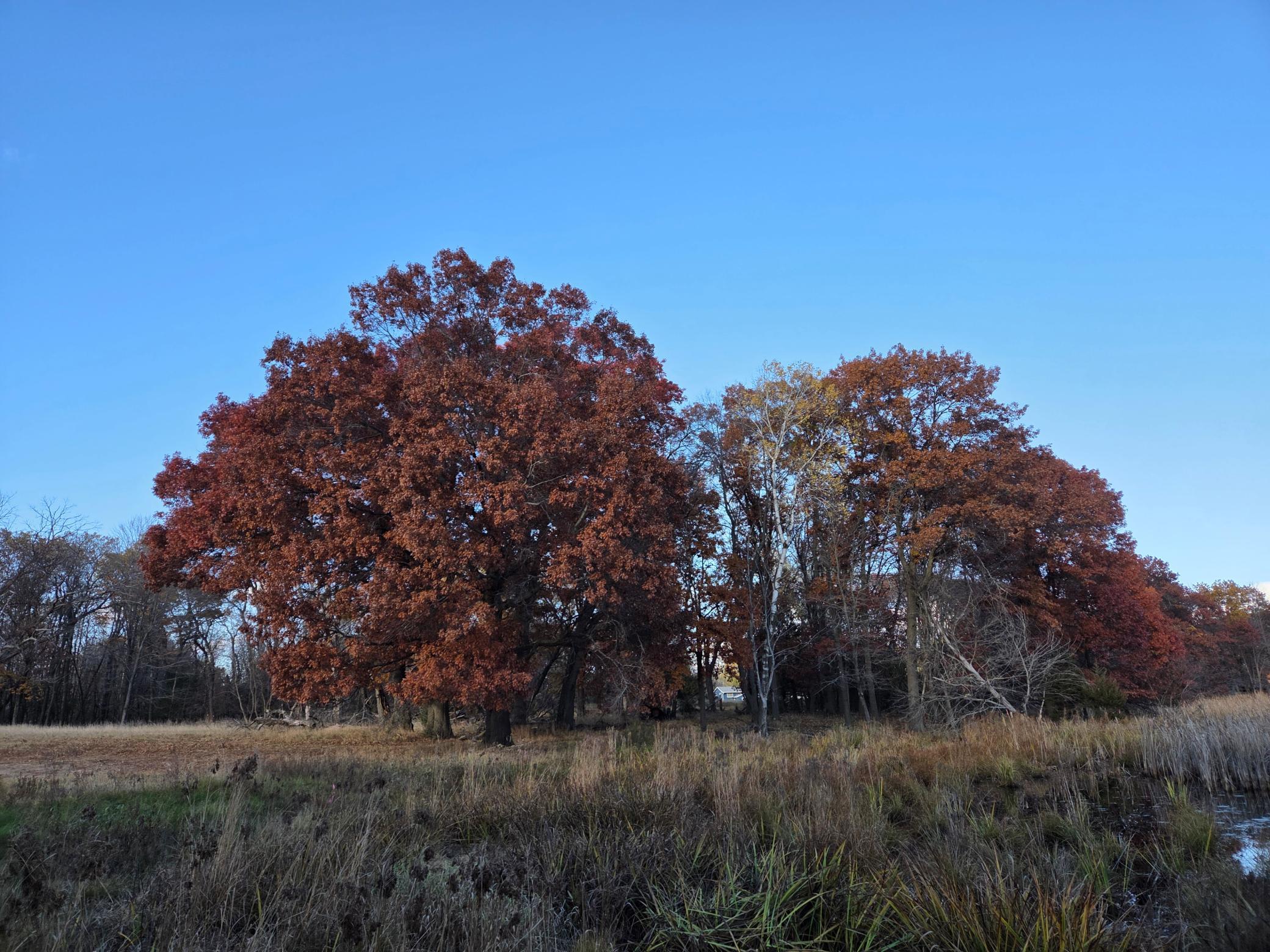 Scenes from Fridays Farm