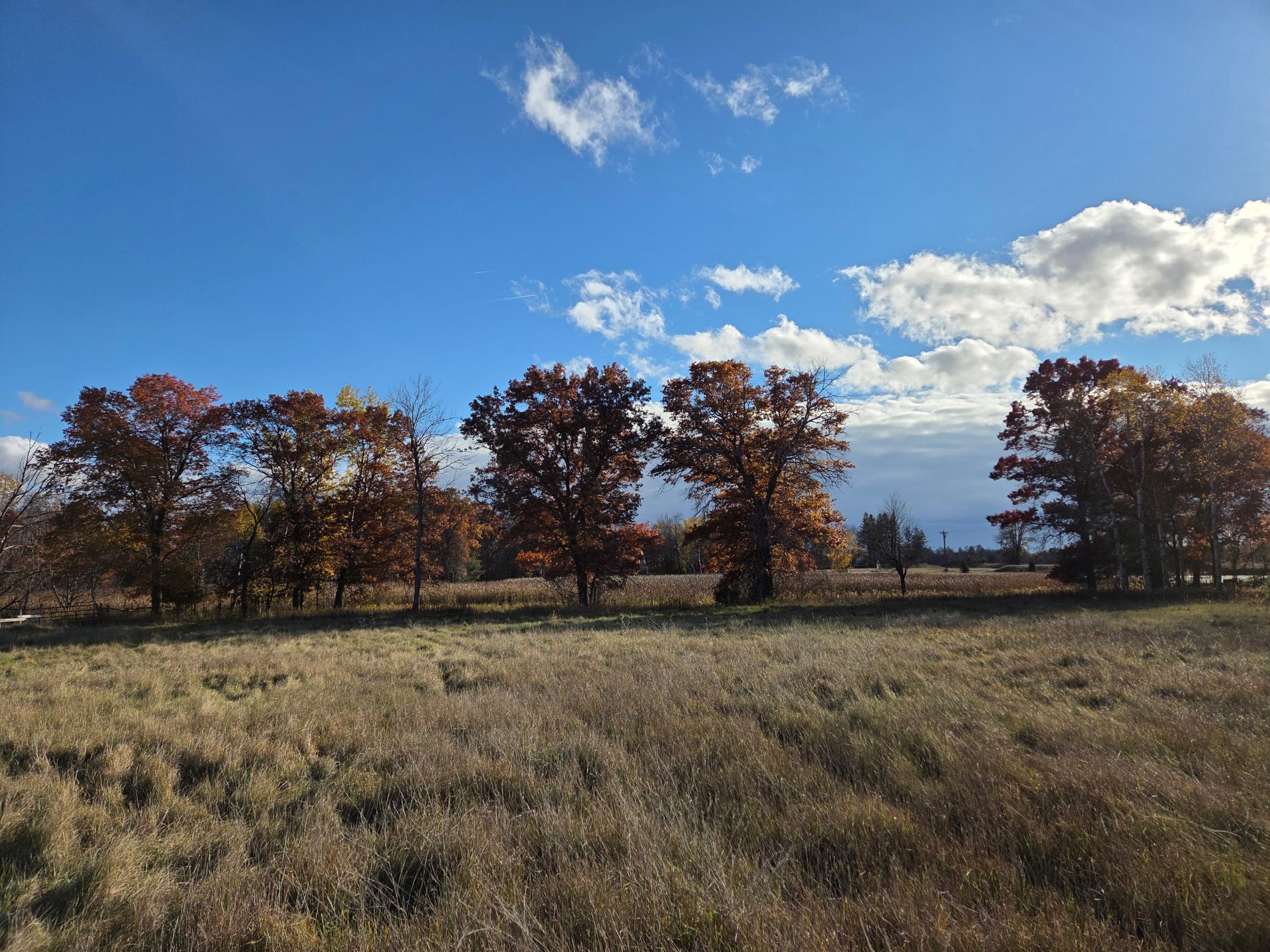 Scenes from Fridays Farm