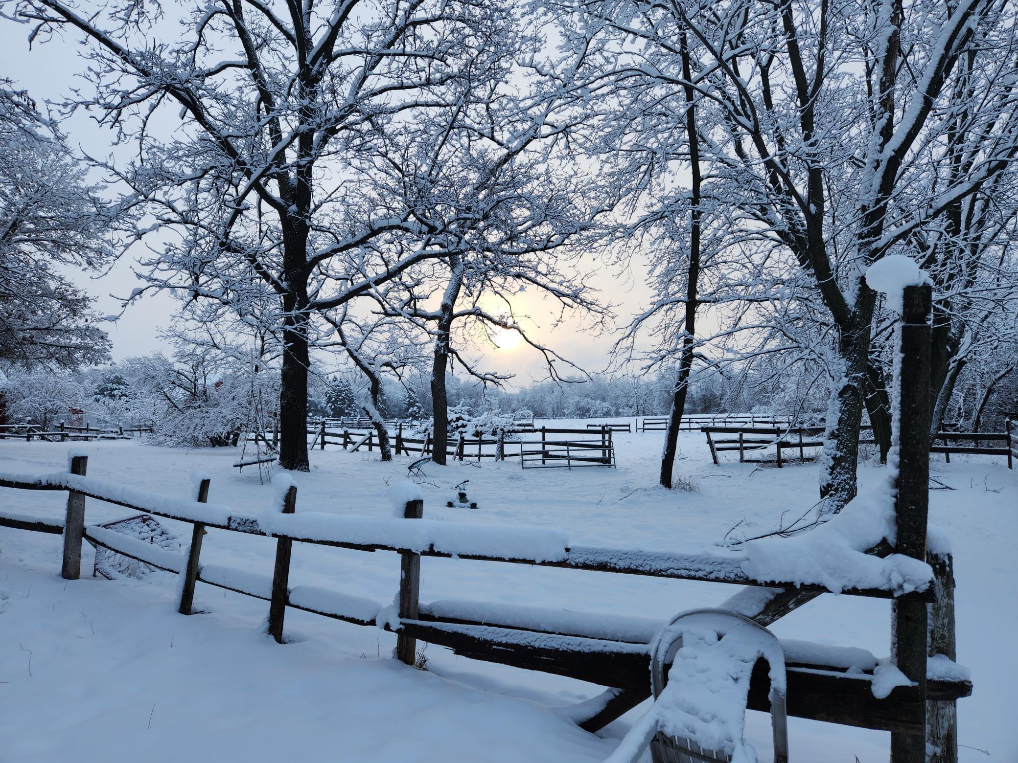Scenes from Fridays Farm winter
