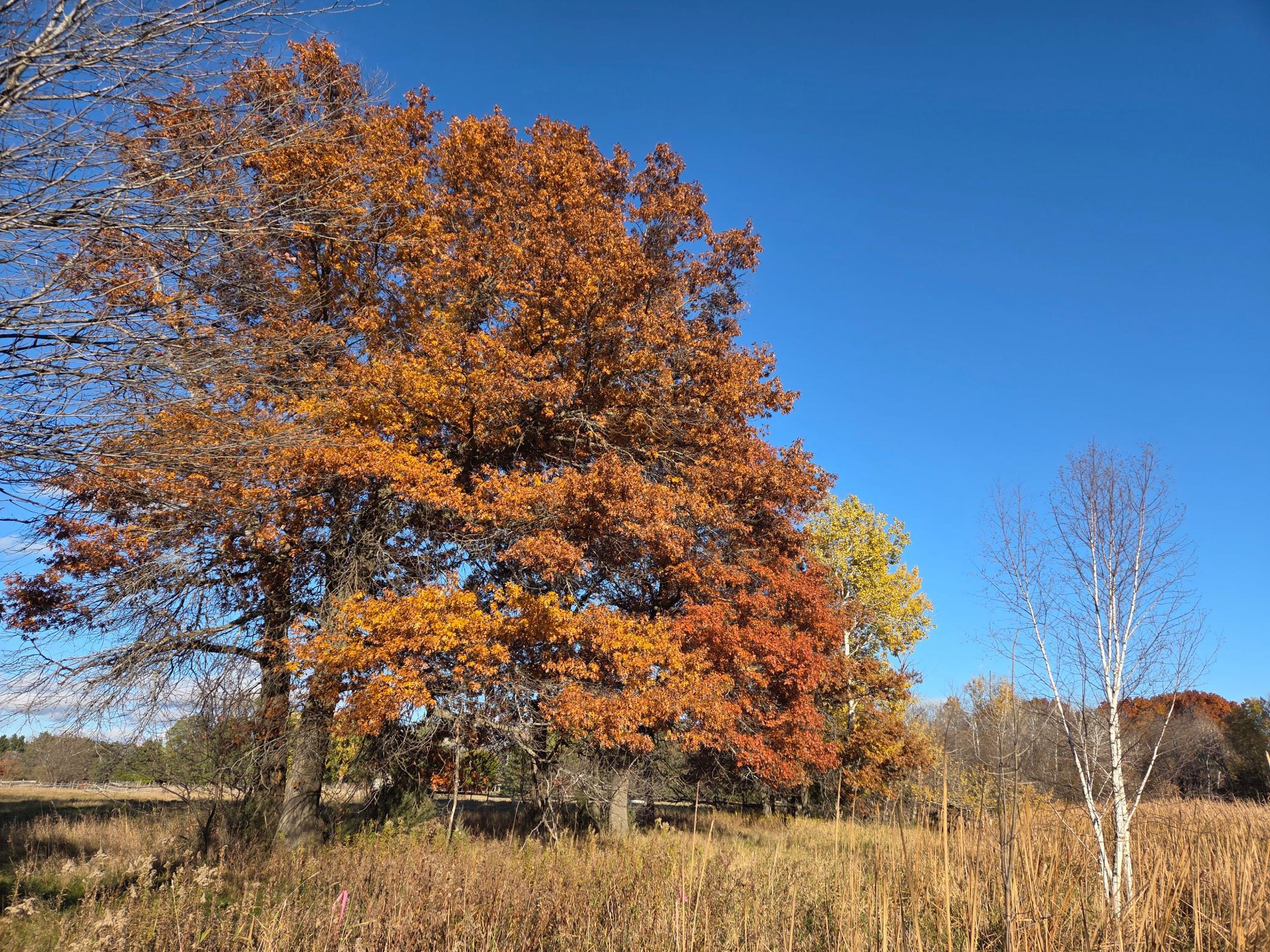 Scenes from Fridays Farm