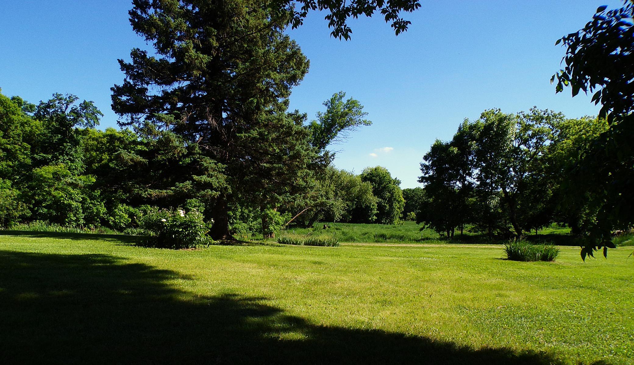 Yard