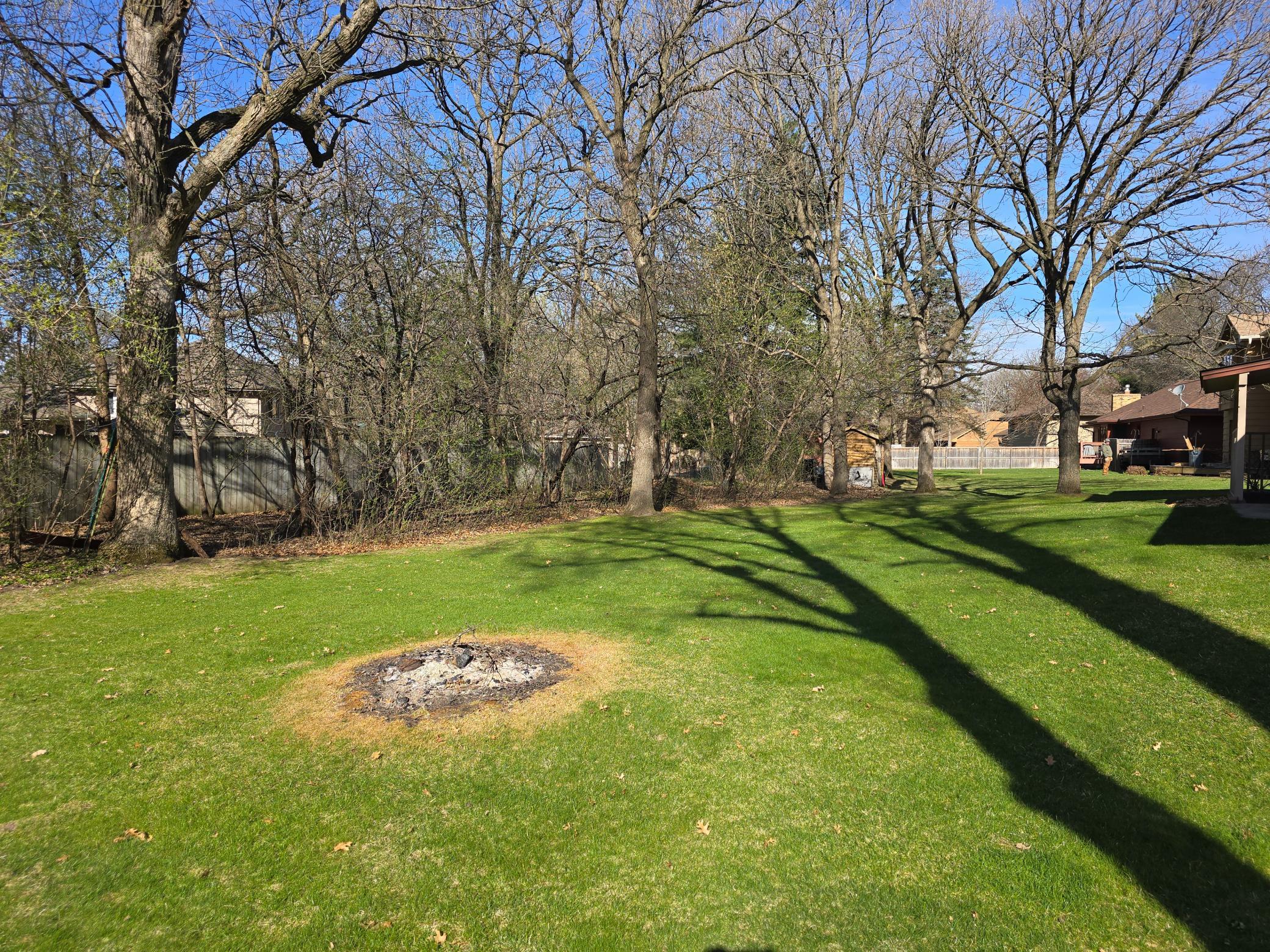 Views of the backyard as the mature trees add privacy.