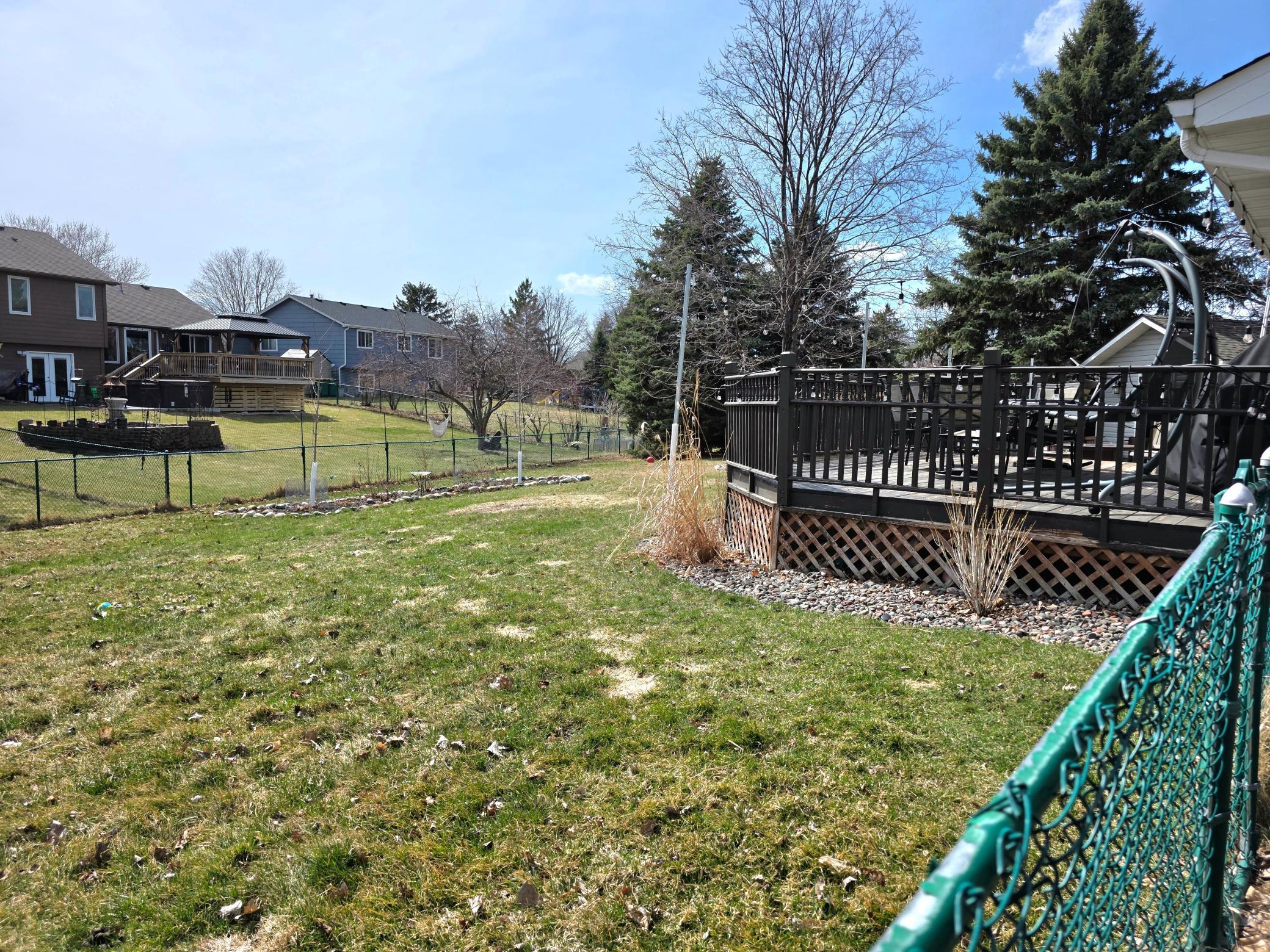 Backyard from the northeastern corner