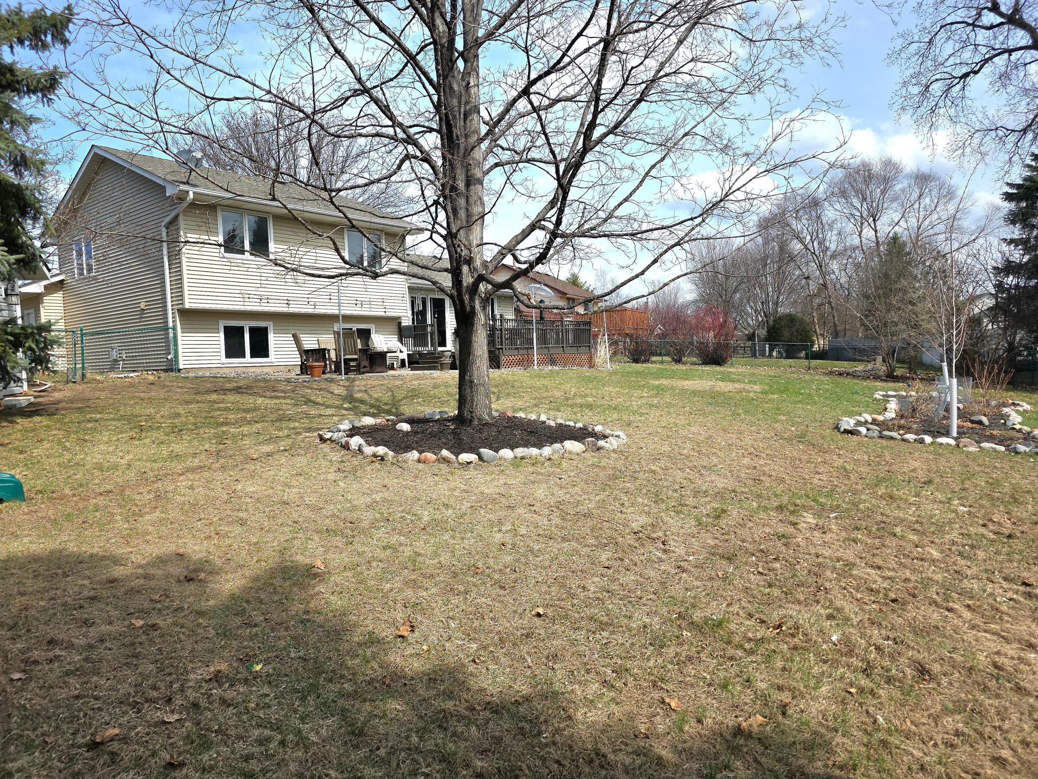 Backyard from the southwestern corner