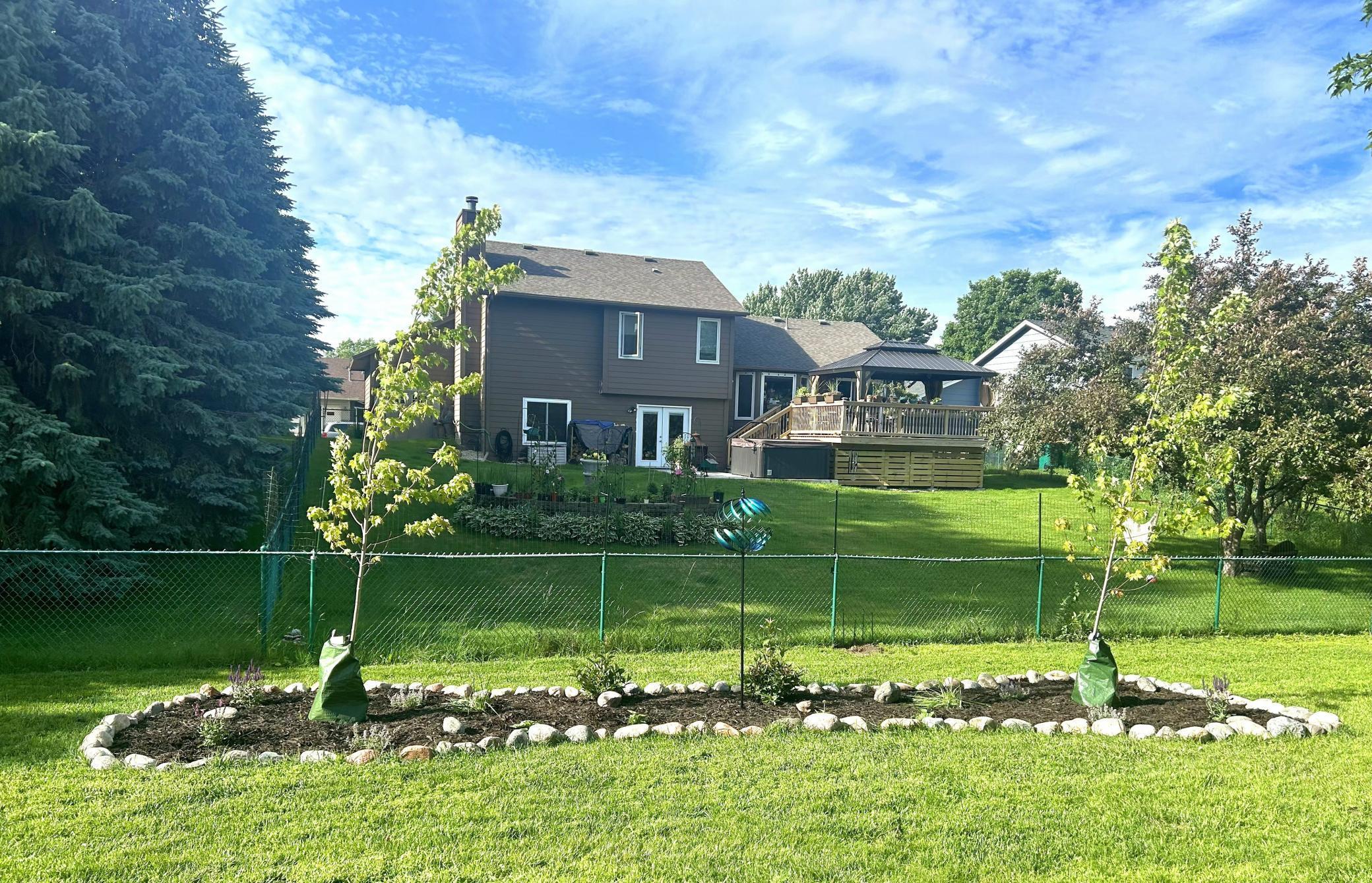 Two Autumn Blaze Maple trees recently planted in back tree circles (summer)