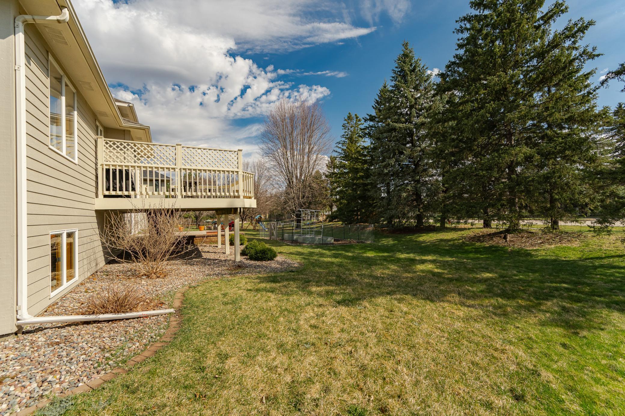 Mature Trees in Back Yard