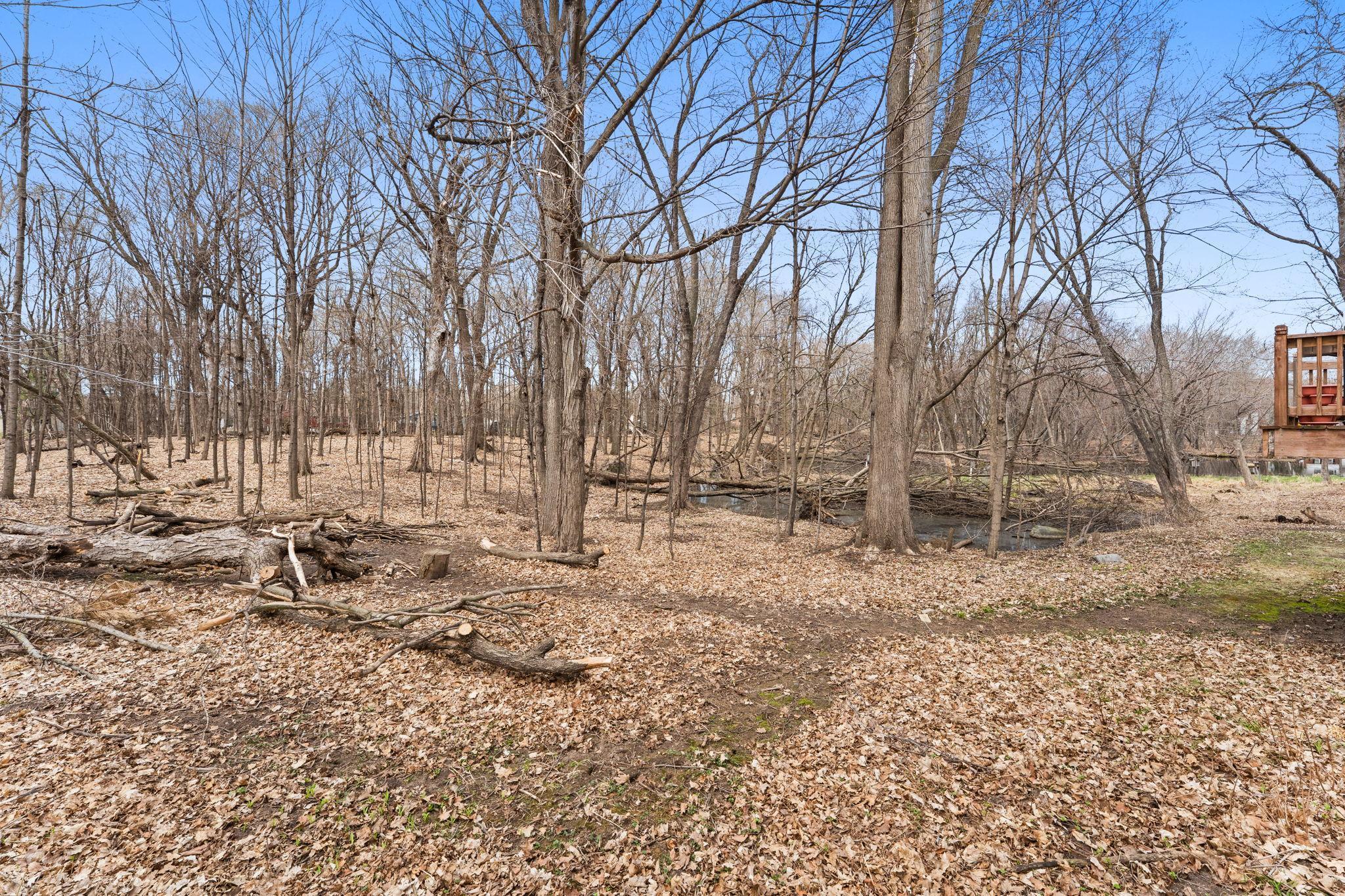 Backyard - 1 Acre Lot!