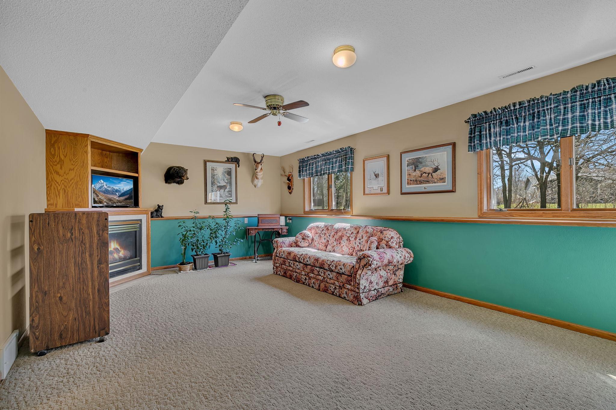 Lower level family room