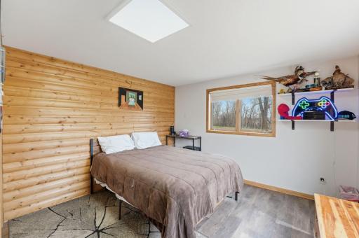 Lower Level Bedroom 2