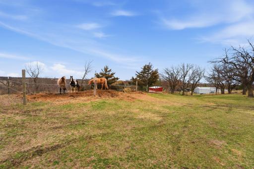 Current owners have horses!