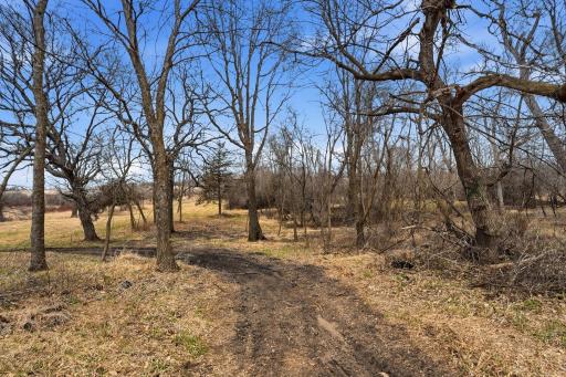 Many mature oaks on the property with multiple deer stands that stay!