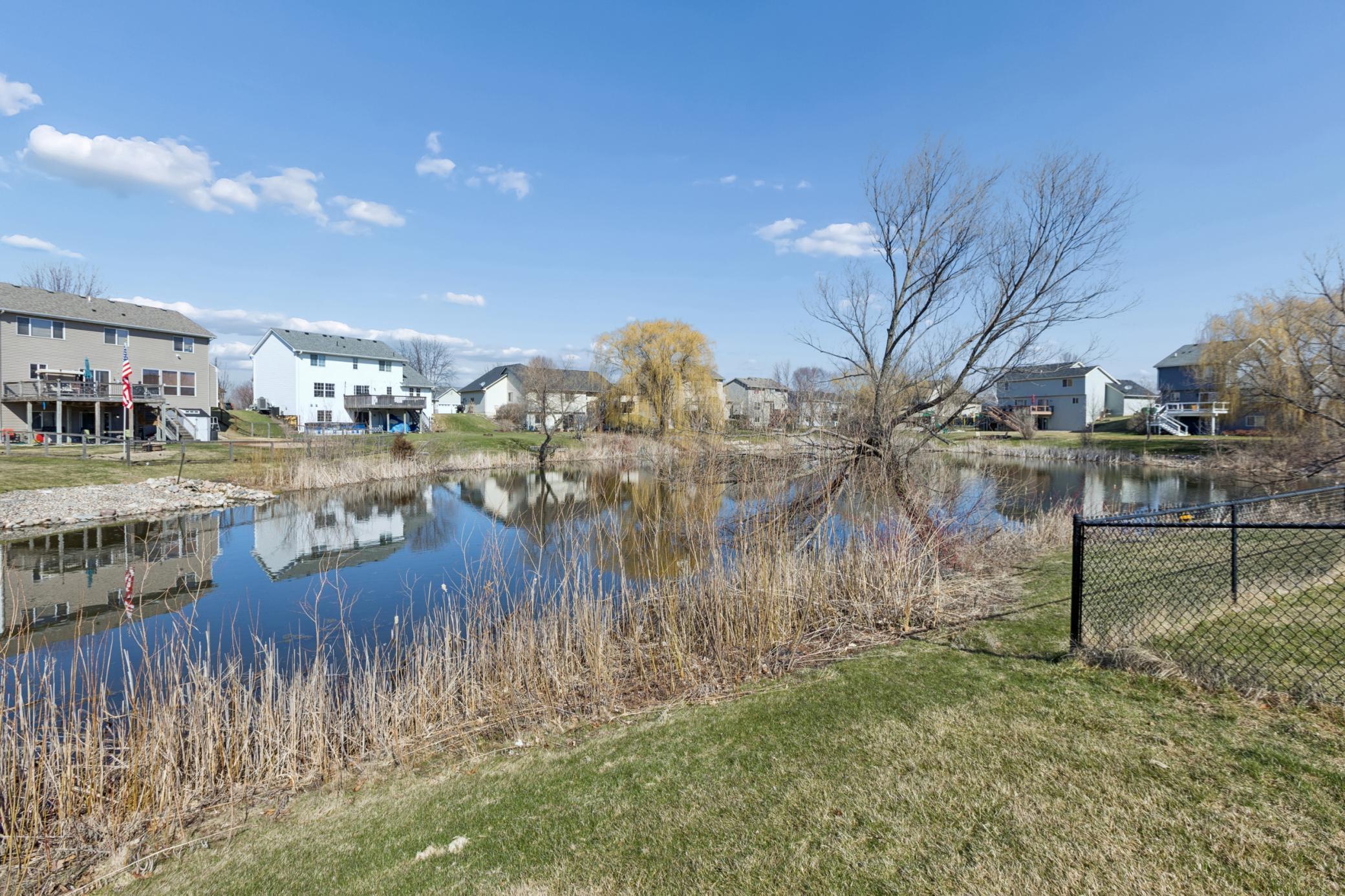 Backyard Pond View