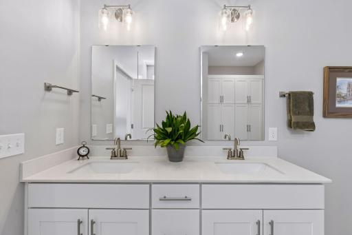 348 Bluejay Avenue, Chaska, MN 55318