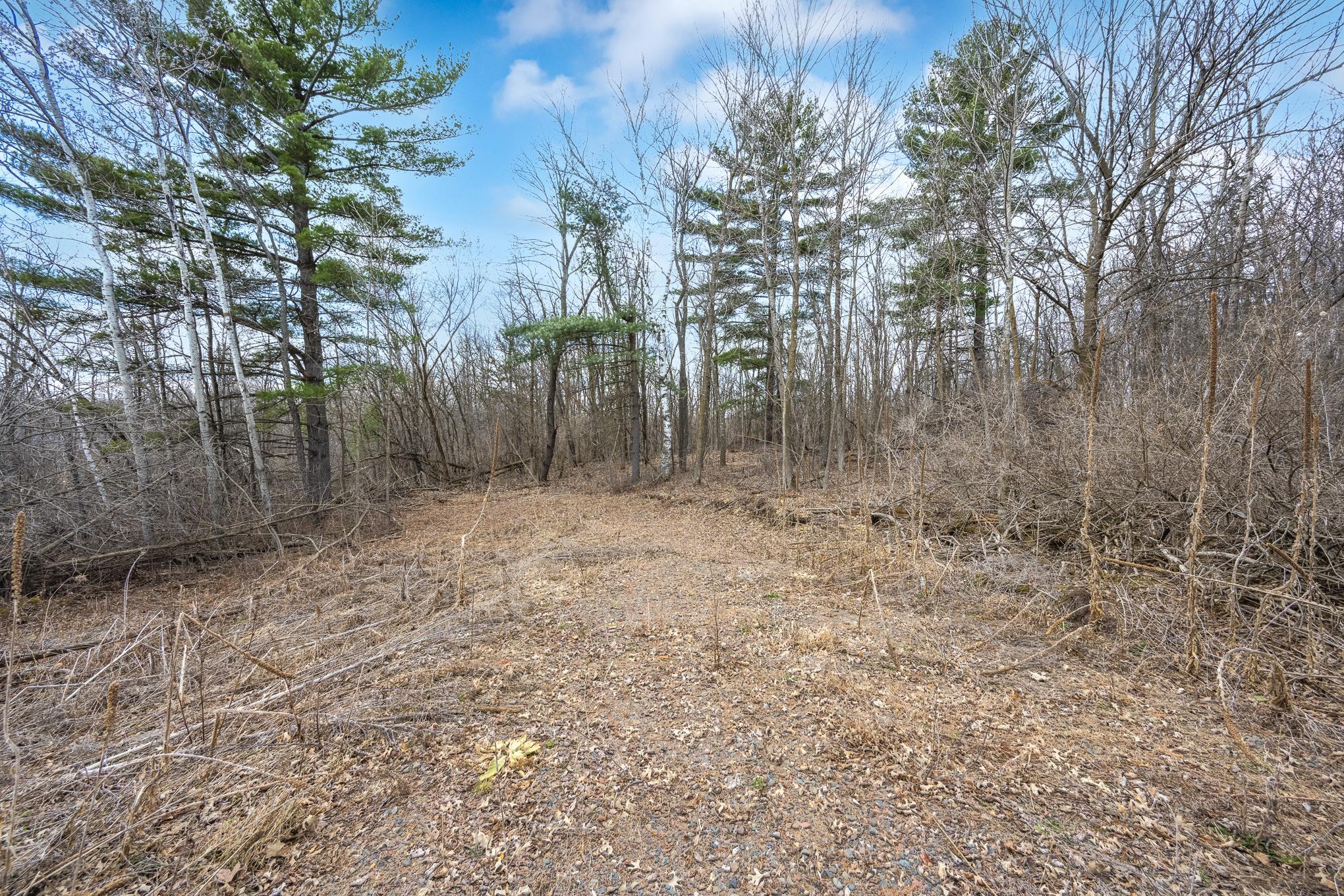 Property photo for TBD Hwy 46, Balsam Lake, WI 54810
