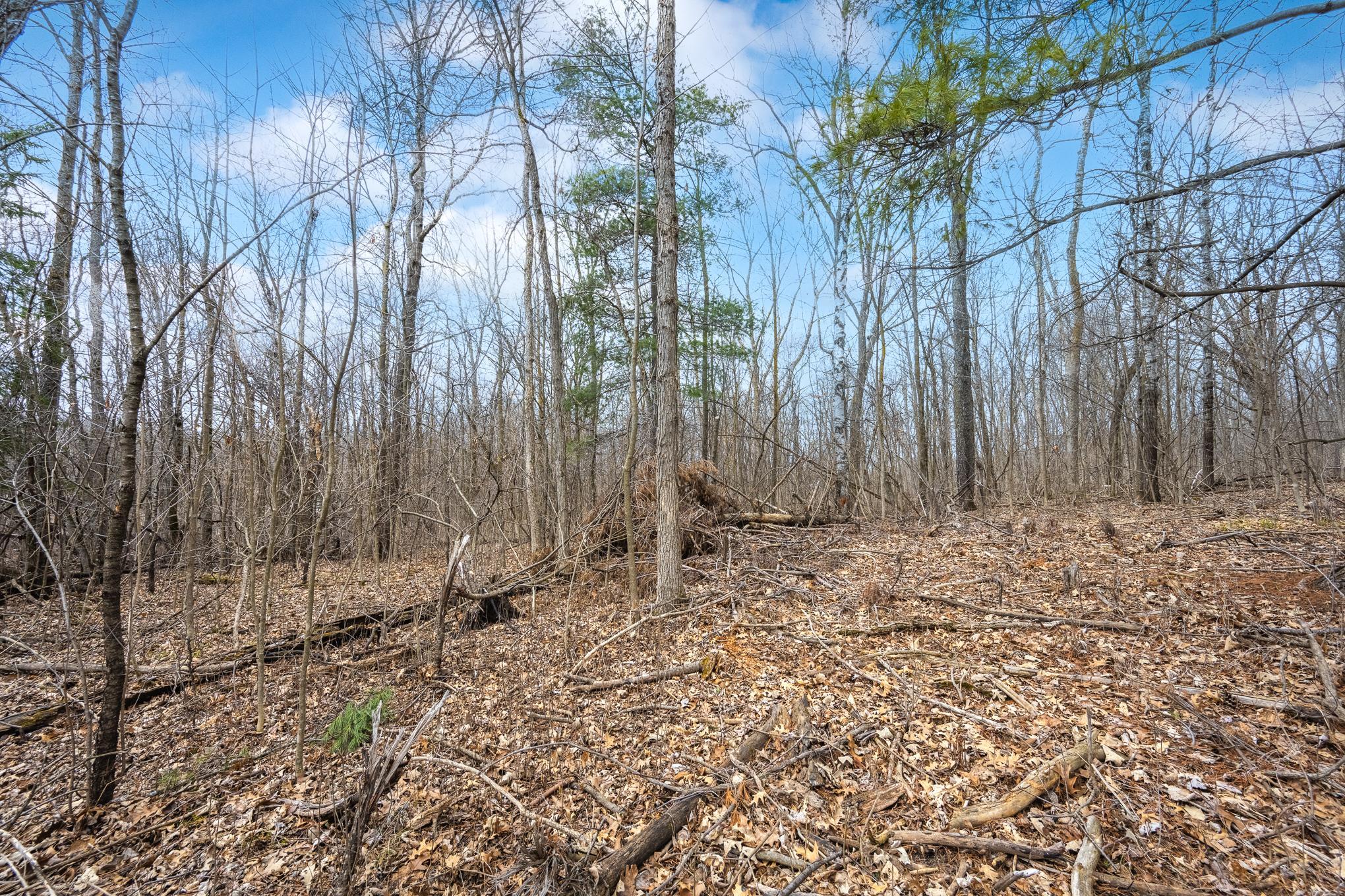 JML_8936-HDR-Edit.jpg