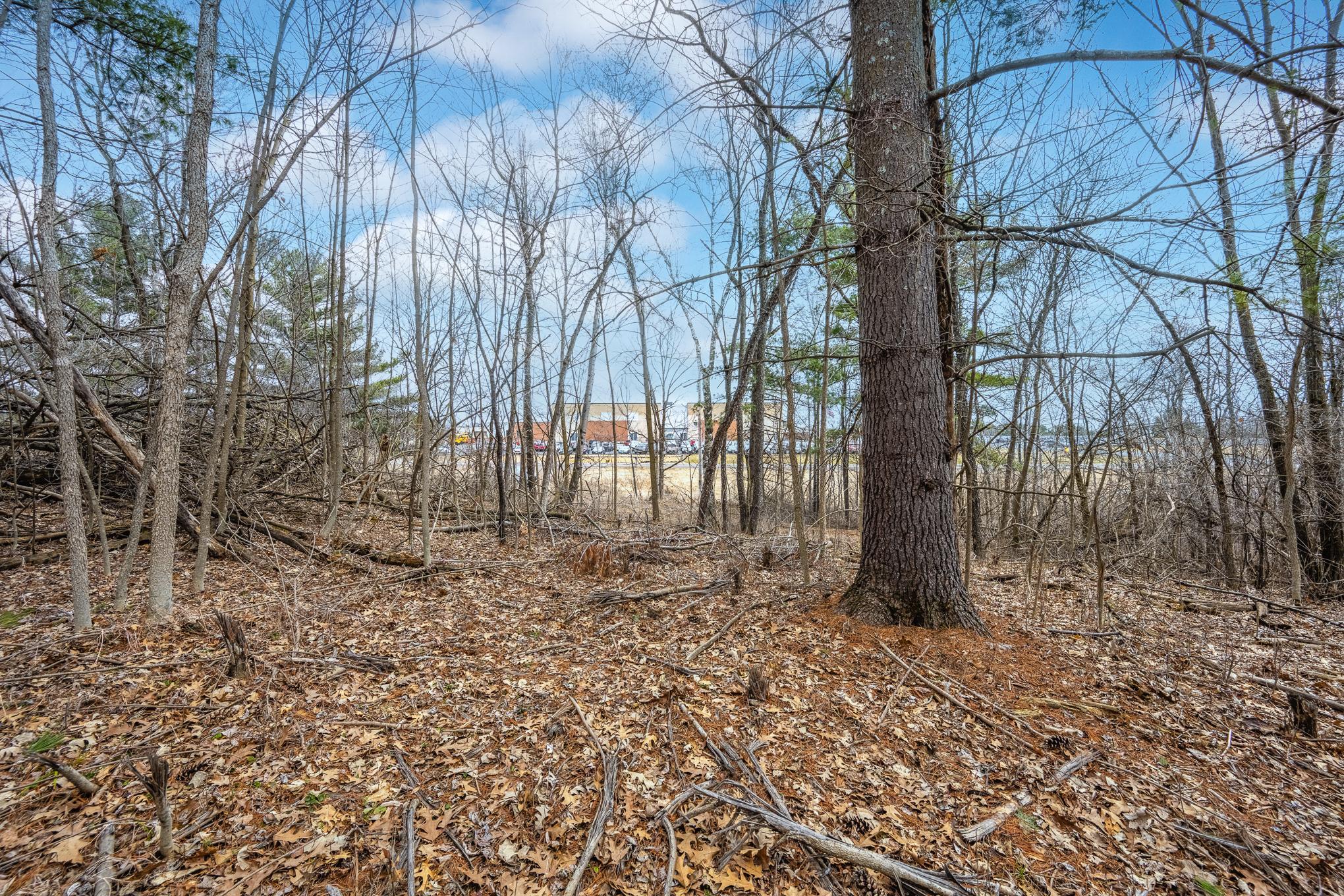 JML_8941-HDR-Edit.jpg